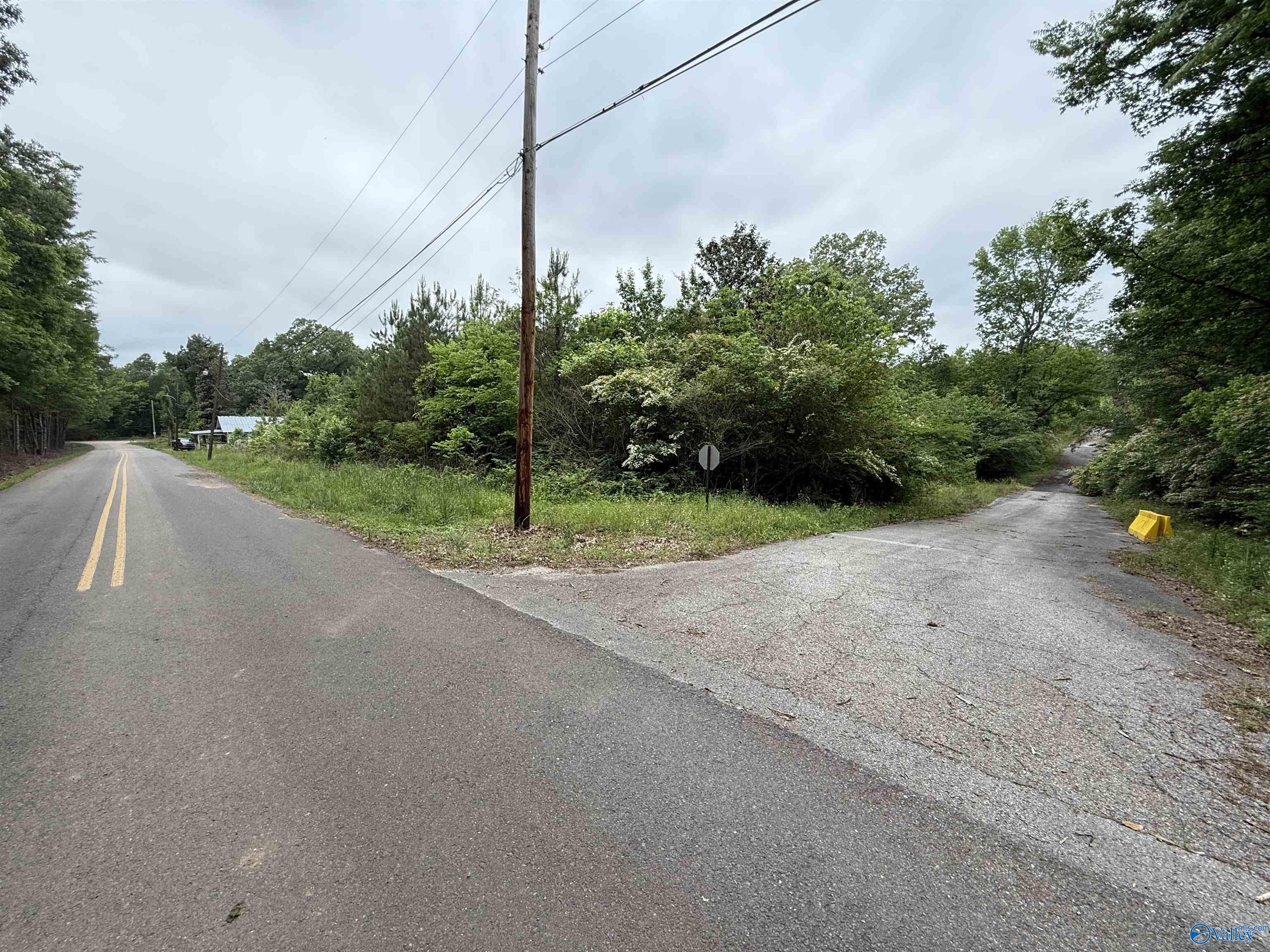 16 Acres Tol Street, Centre, Alabama image 14