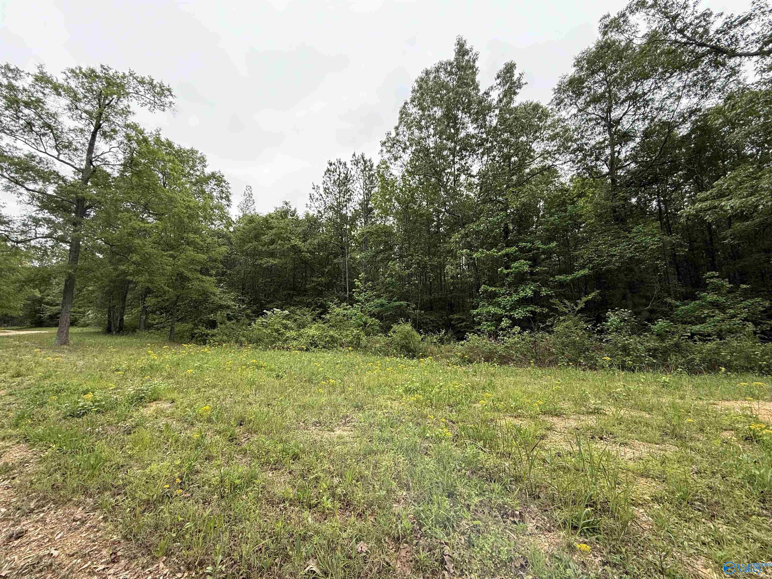 16 Acres Tol Street, Centre, Alabama image 9