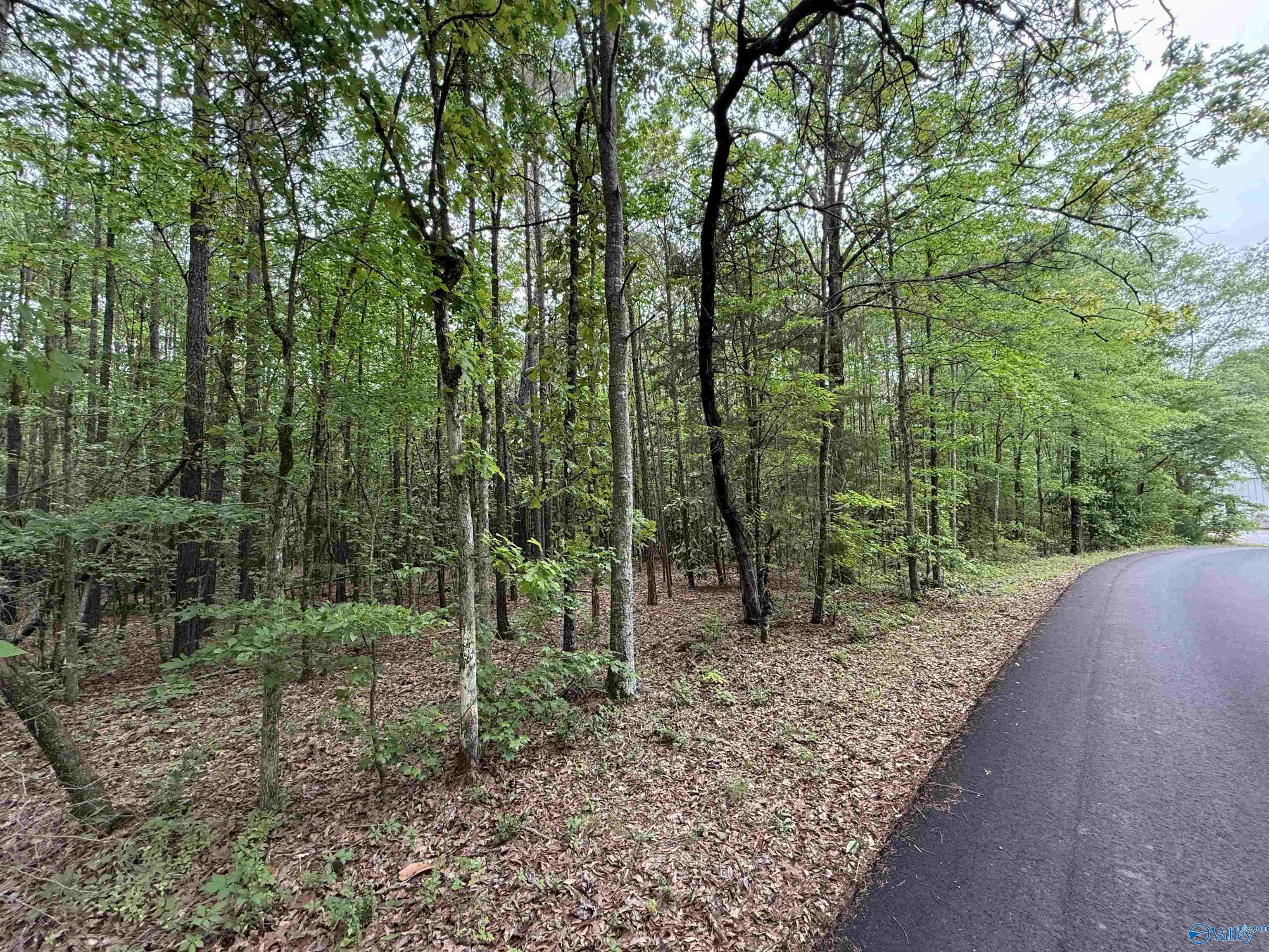 16 Acres Tol Street, Centre, Alabama image 4