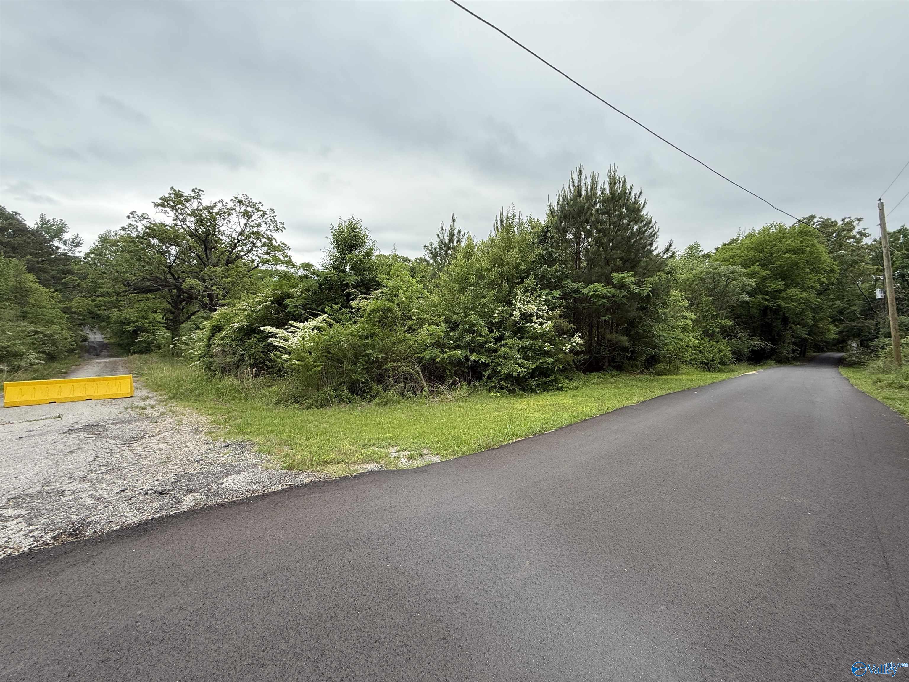 16 Acres Tol Street, Centre, Alabama image 2