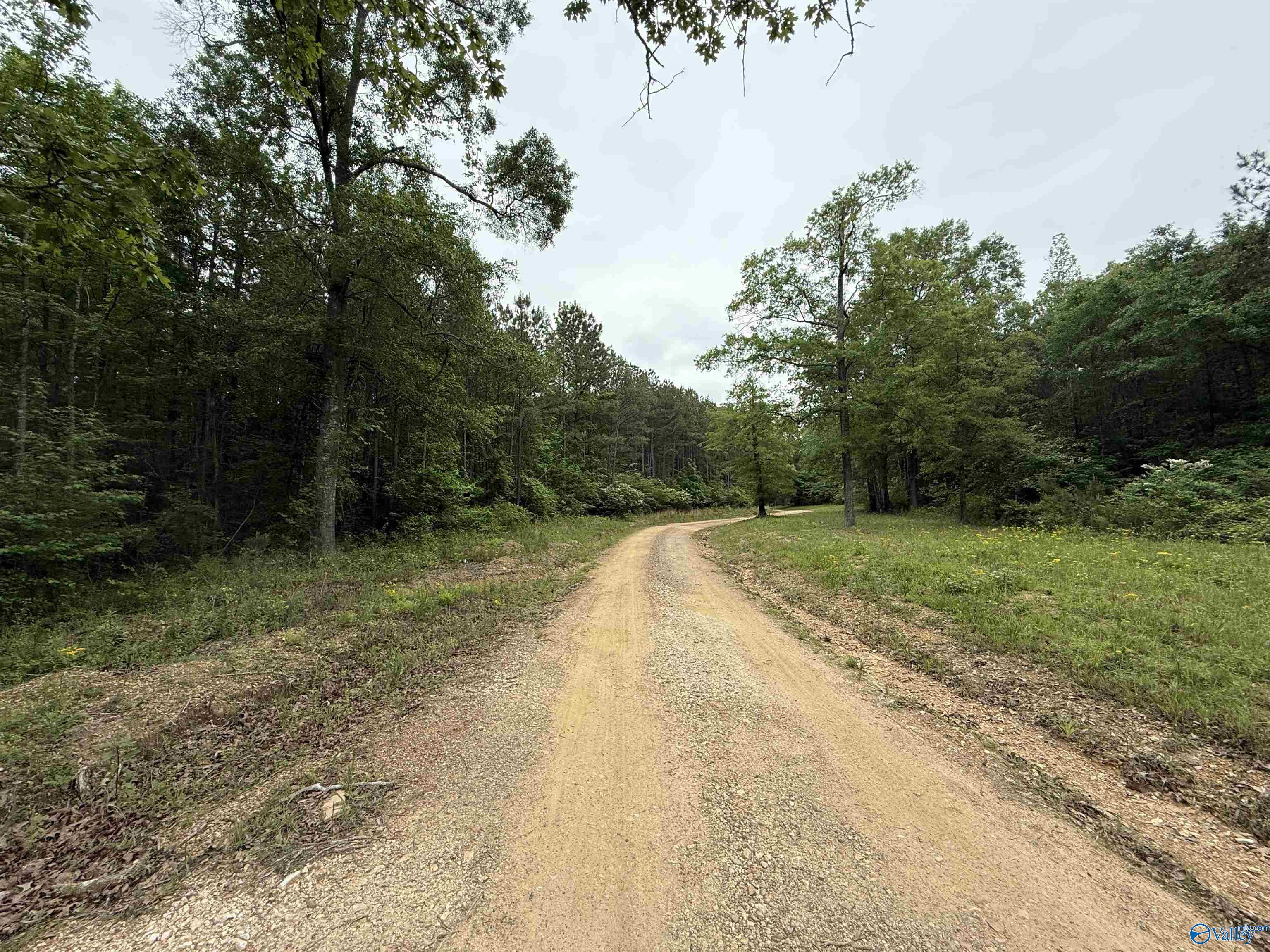 16 Acres Tol Street, Centre, Alabama image 8