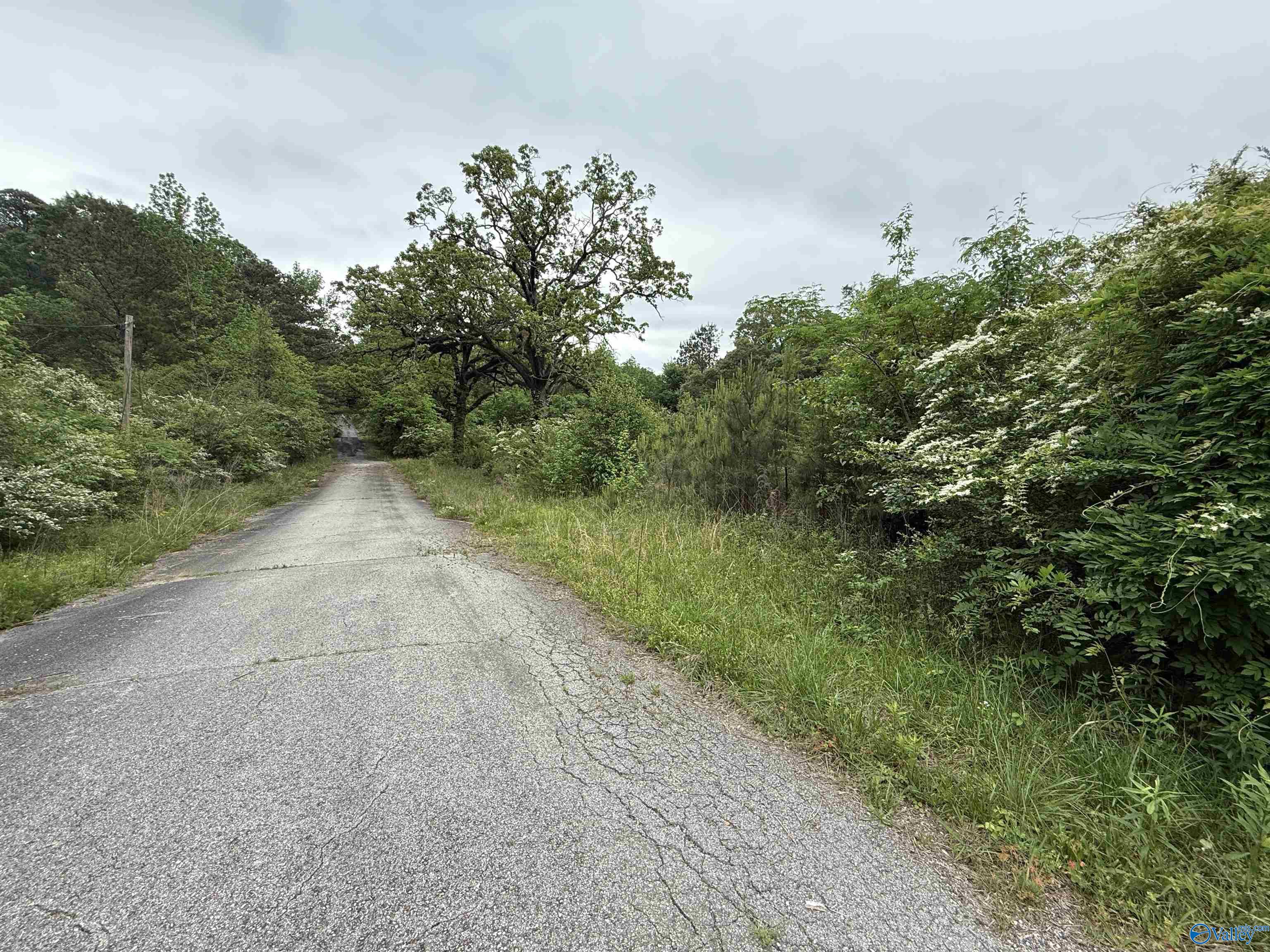 16 Acres Tol Street, Centre, Alabama image 1