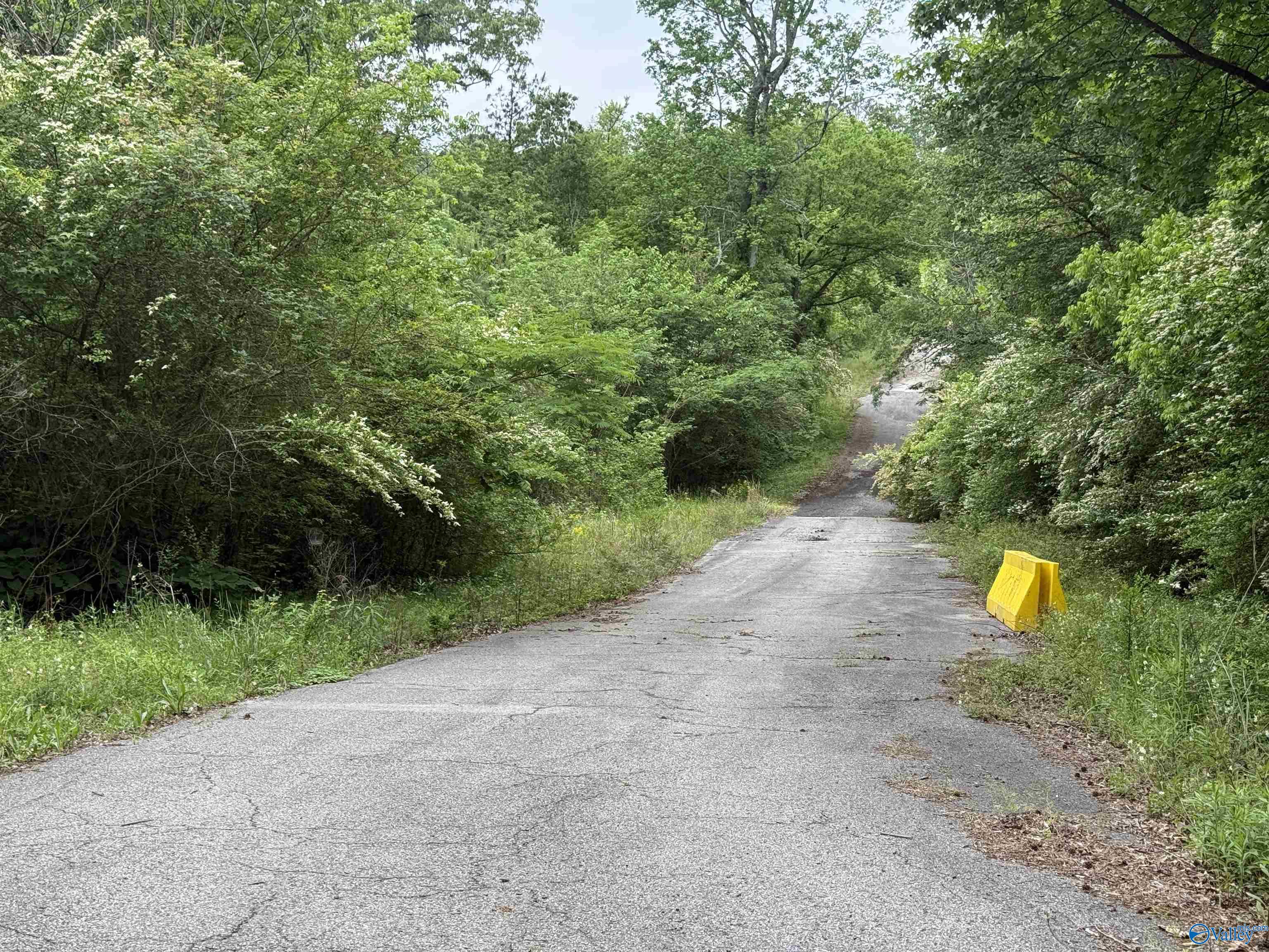 16 Acres Tol Street, Centre, Alabama image 12