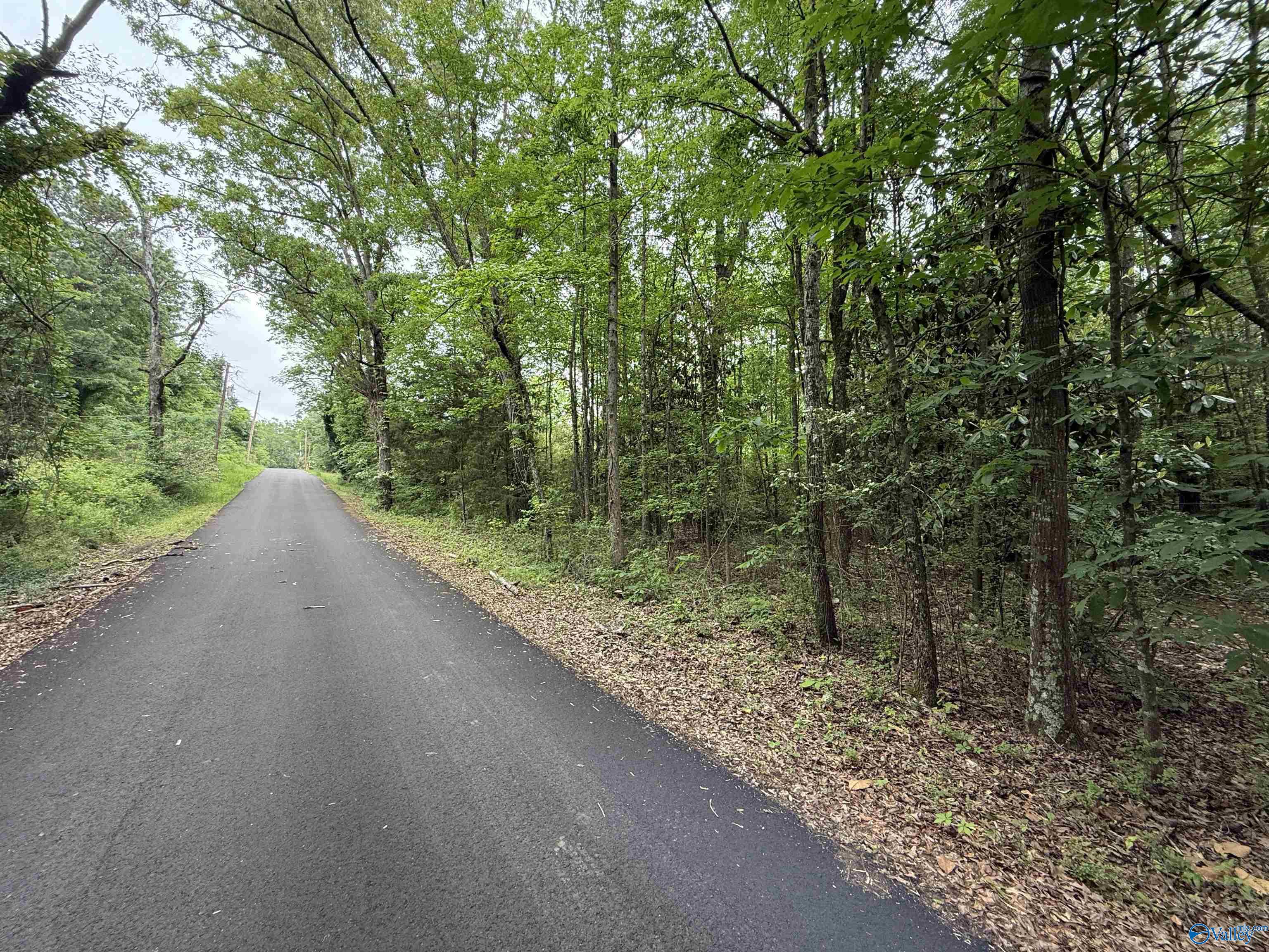 16 Acres Tol Street, Centre, Alabama image 3