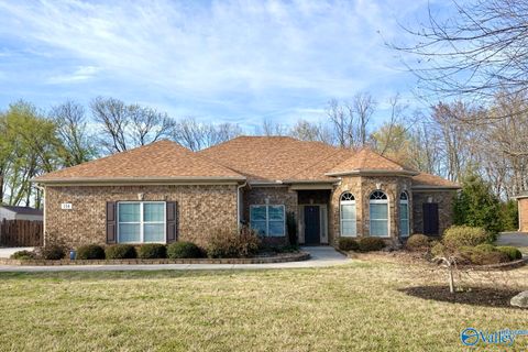 Photo of 114 Twin Springs Drive, Harvest, AL 35749 (MLS # 21912538)