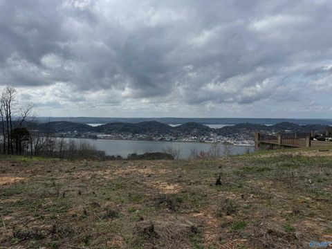 Vacant Land For Sale - 1 Fairfax Drive<br/> Guntersville, AL 35976