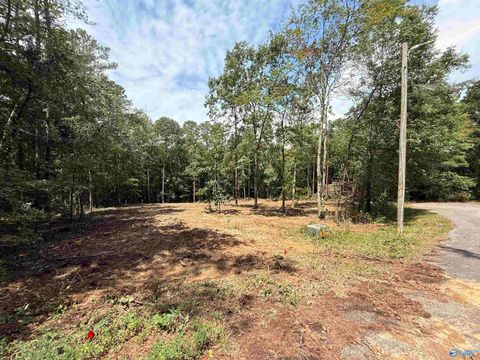 Vacant Land For Sale - 300 Hill Street<br/> Cherokee County, Centre, AL 35960