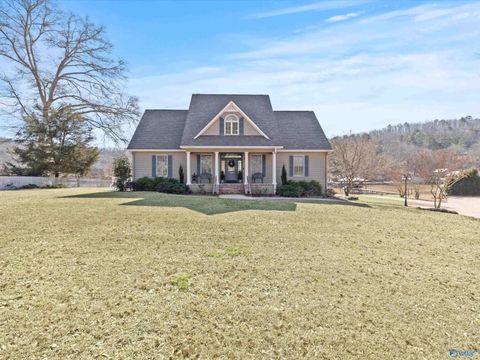 Homes For Sale - 200 Canoe Creek Road<br/> Etowah County, Rainbow City, AL 35906