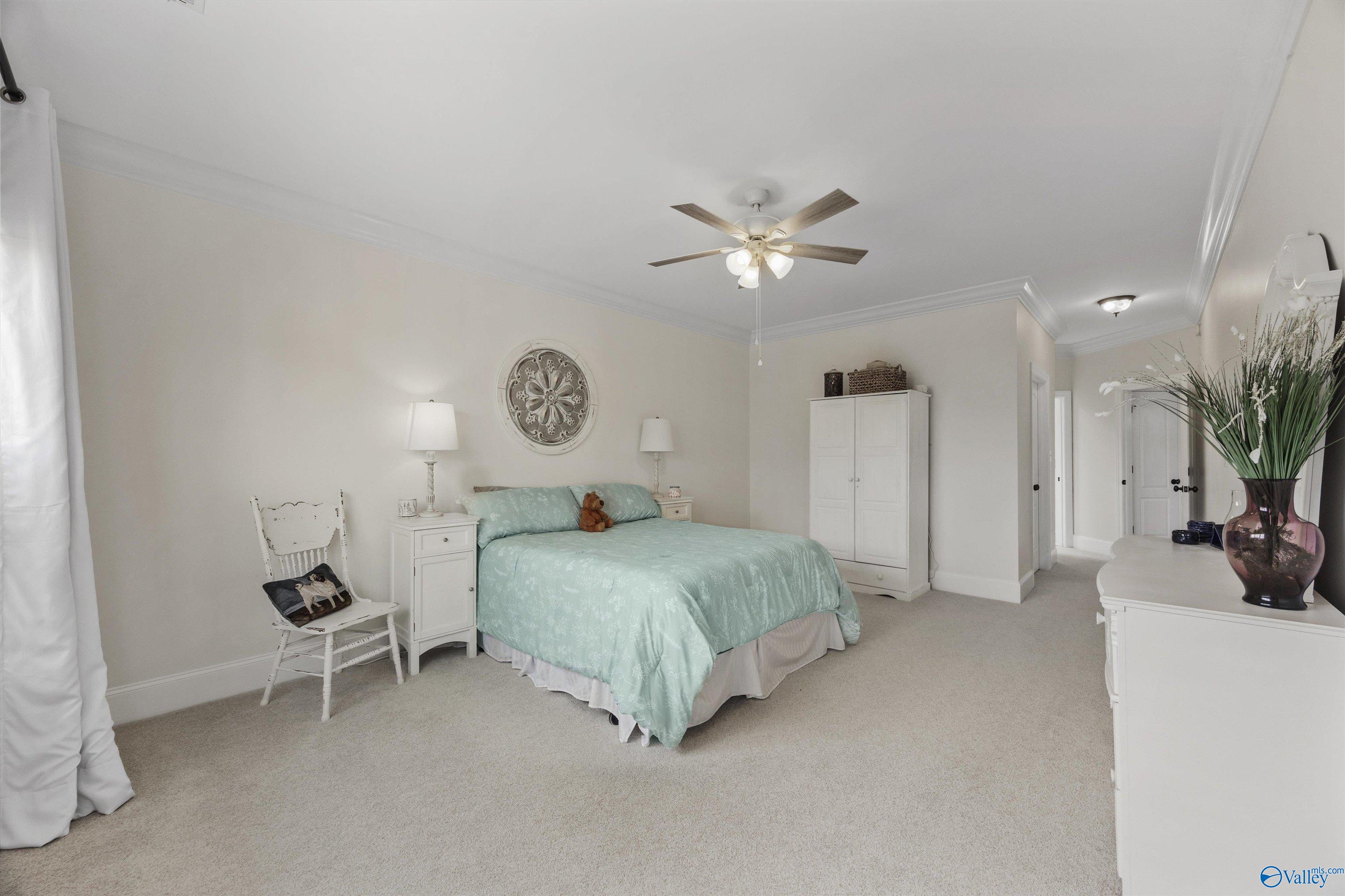 3113 Mossy Rock Road, Owens Cross Roads, Alabama image 21