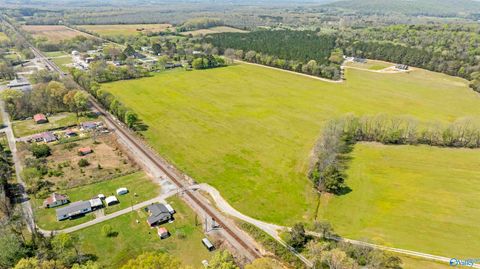 Vacant Land For Sale - 50.56 ACRES Main Street<br/> Hollywood, AL 35752