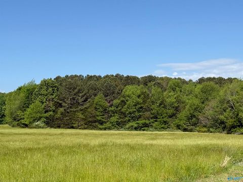 Vacant Land For Sale - 3 ACRES Mount Lebanon Road<br/> Toney, AL 35773