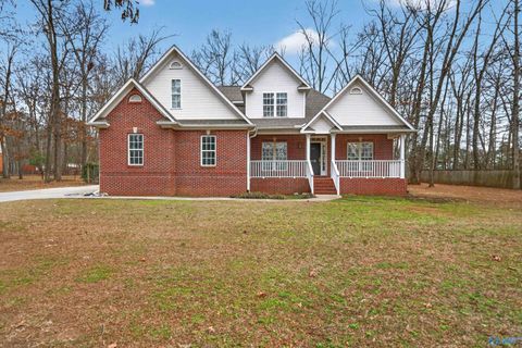 Photo of 115 Whitt Haven Drive, Toney, AL 35773 (MLS # 21909687)