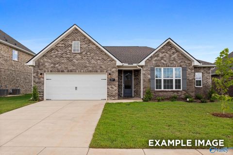 Homes For Sale - 132 Cowdray Circle<br/> Toney, AL 35773