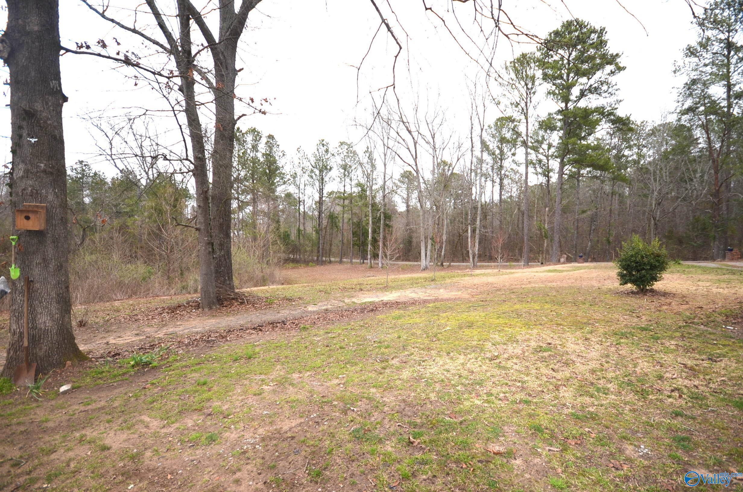 4685 Cox Cove Road, Hayden, Alabama image 23