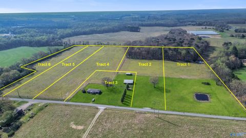 Photo of 24380 Wooley Springs Road, Athens, AL 35613 (MLS # 21917391)