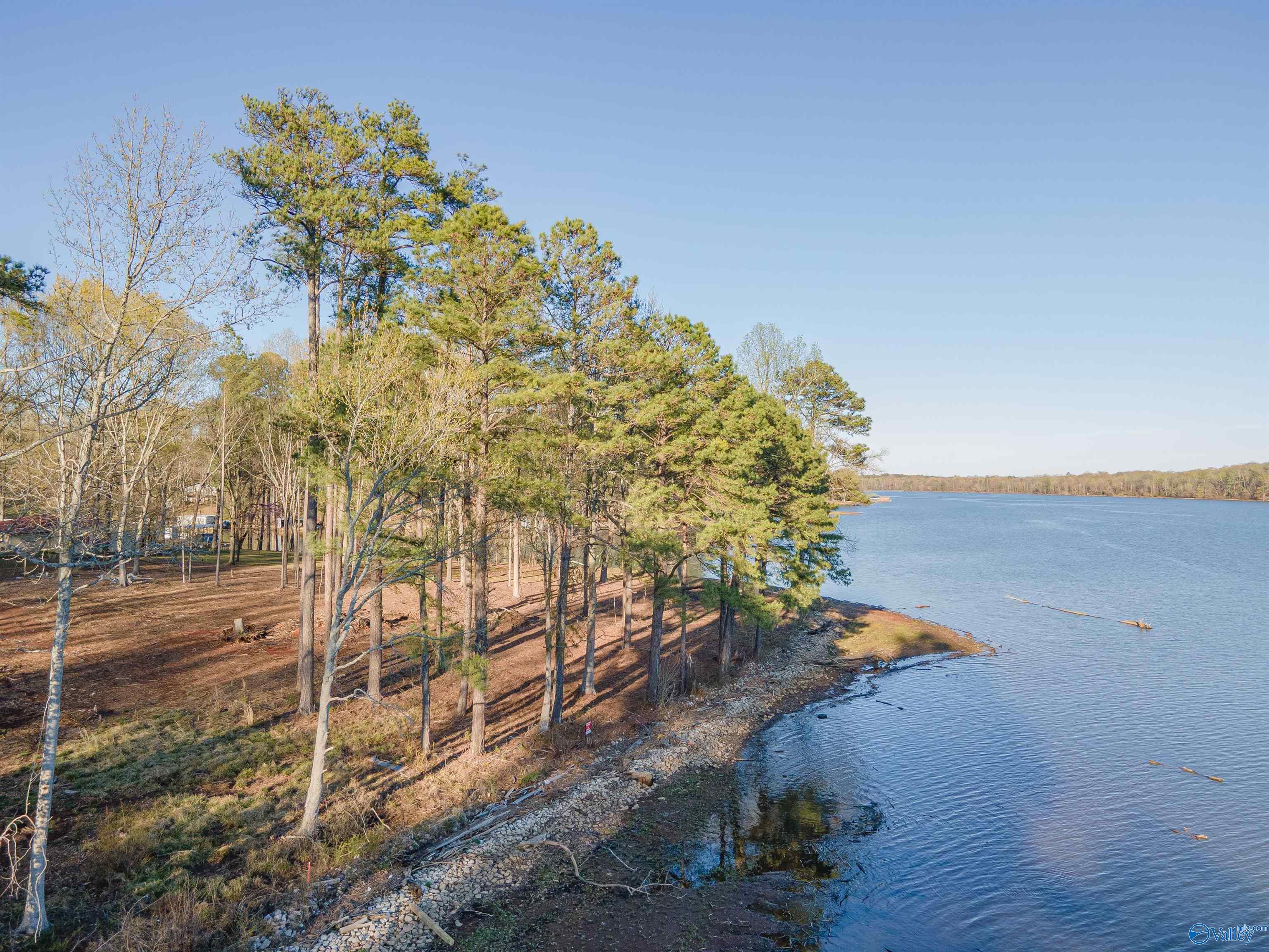 Lot 17 Barnett Road, Rogersville, Alabama image 11