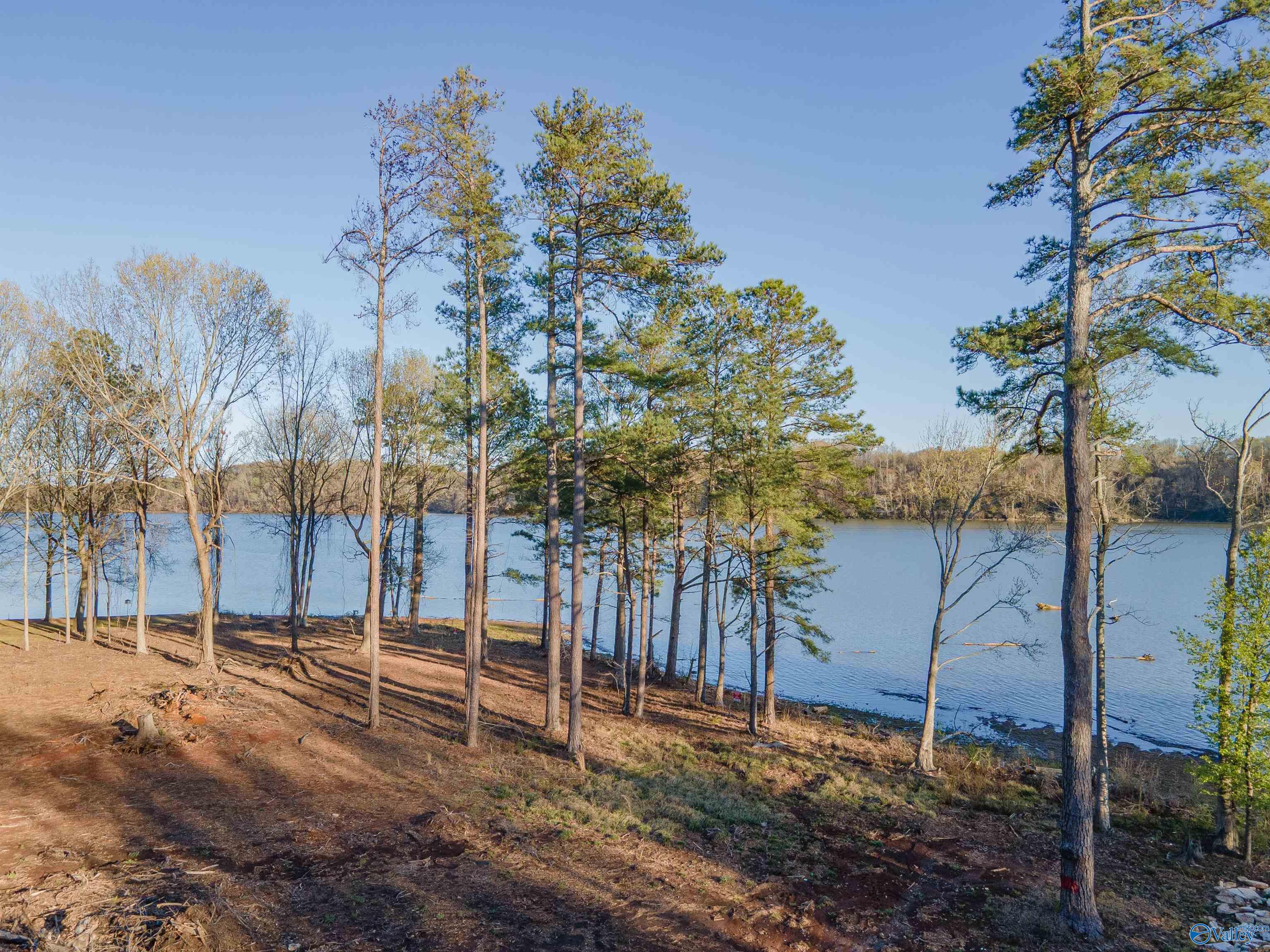 Lot 17 Barnett Road, Rogersville, Alabama image 10