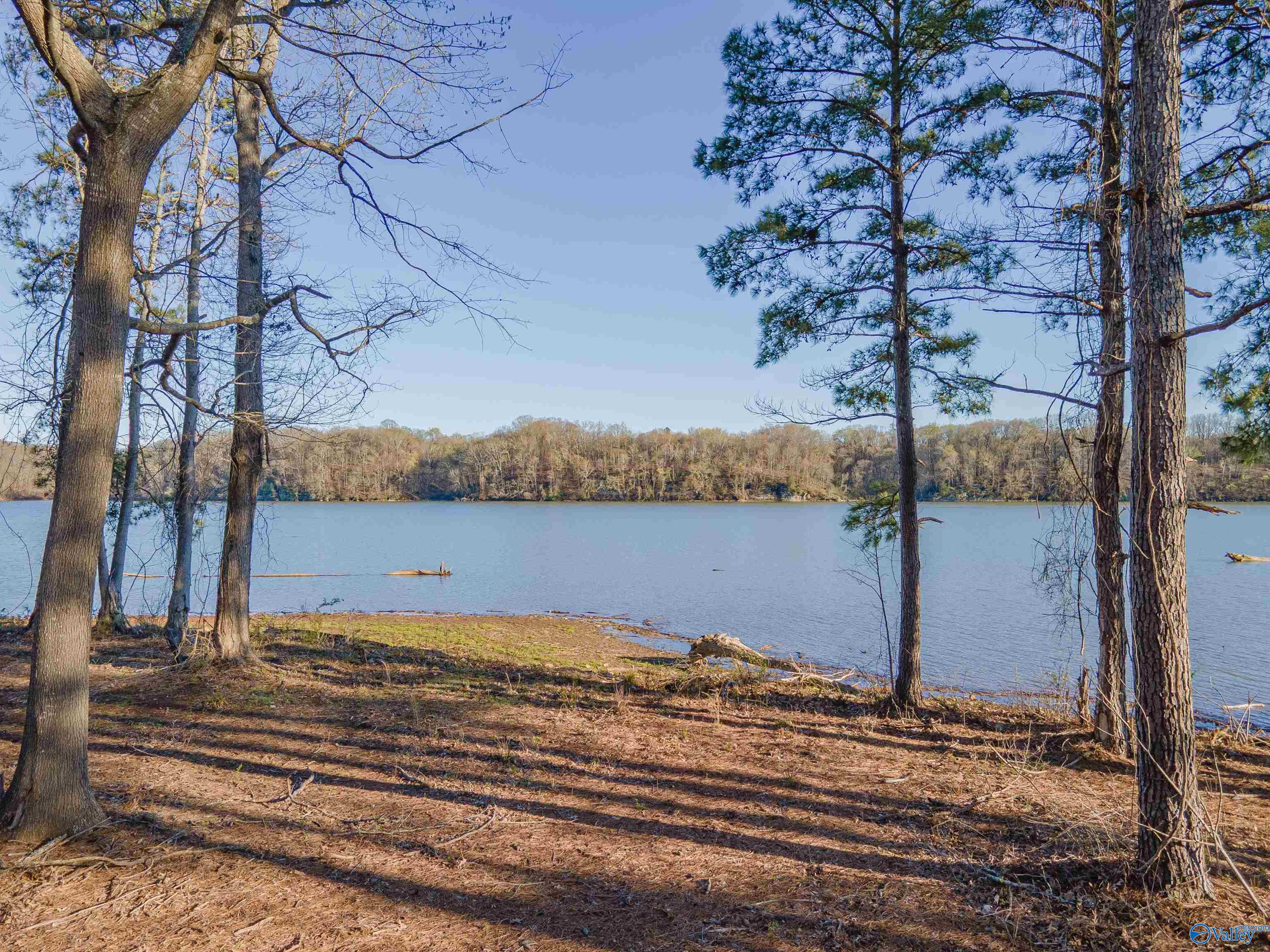 Lot 17 Barnett Road, Rogersville, Alabama image 21