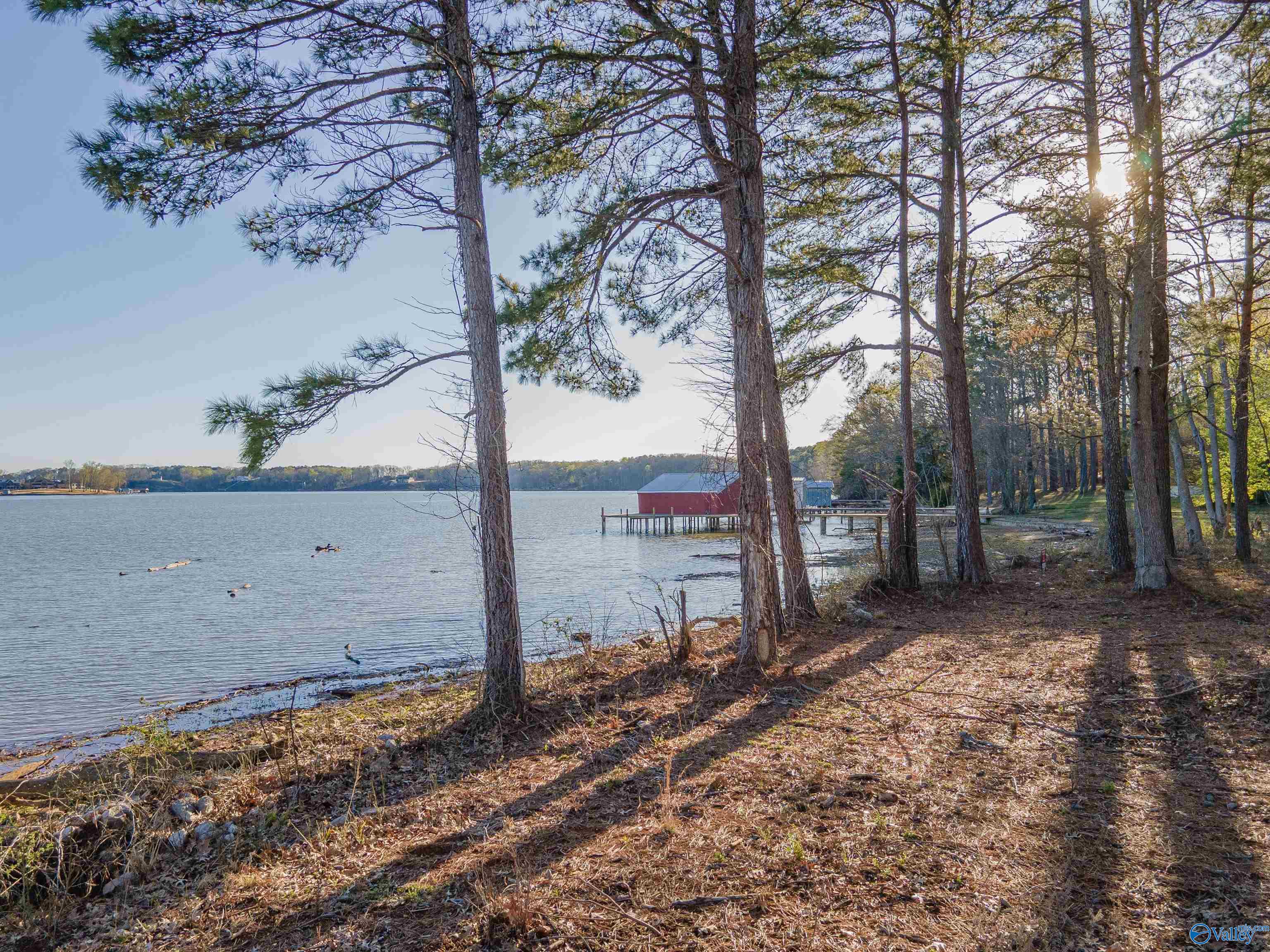 Lot 17 Barnett Road, Rogersville, Alabama image 24