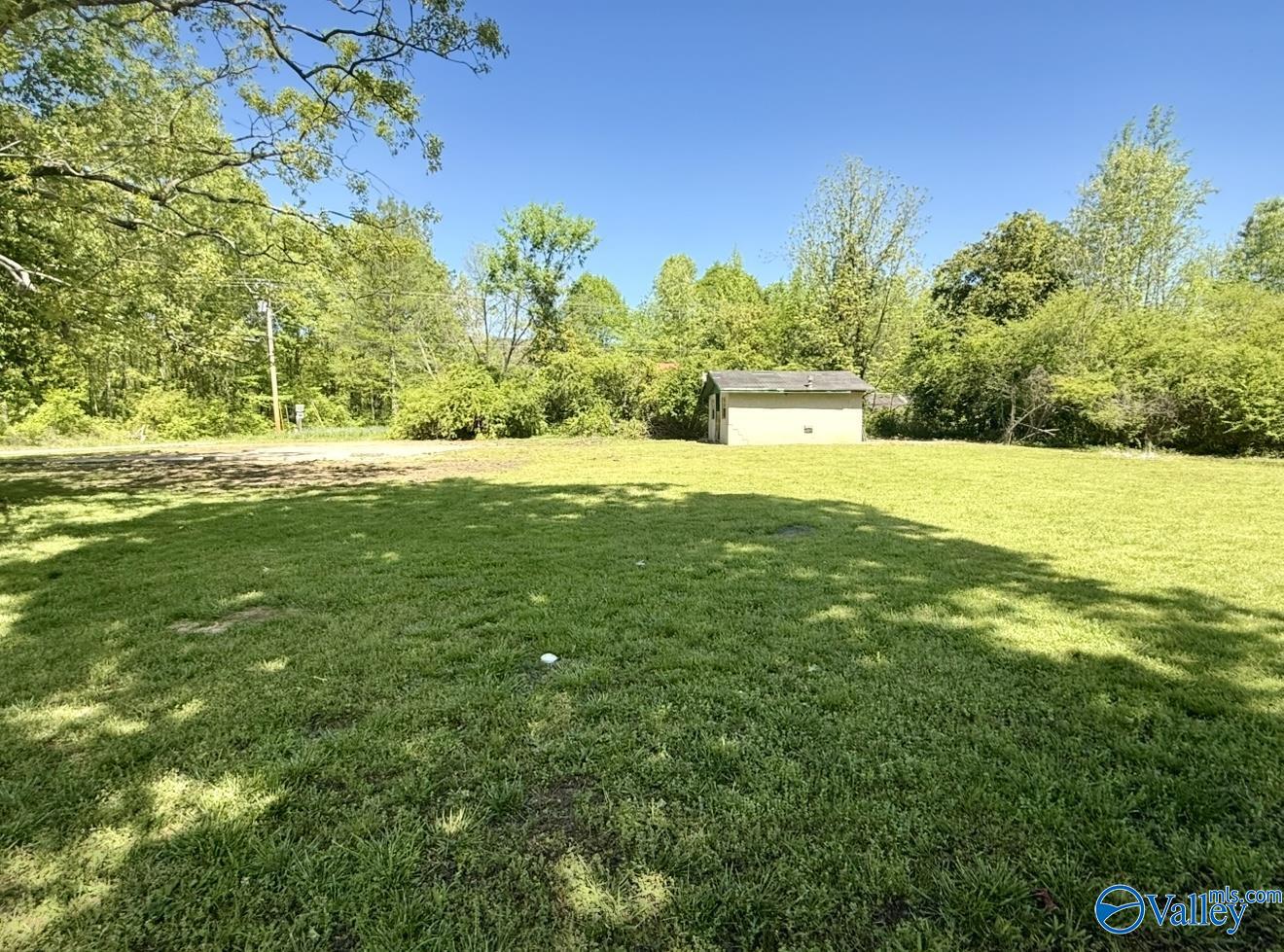 425 County Road 249, Leesburg, Alabama image 20