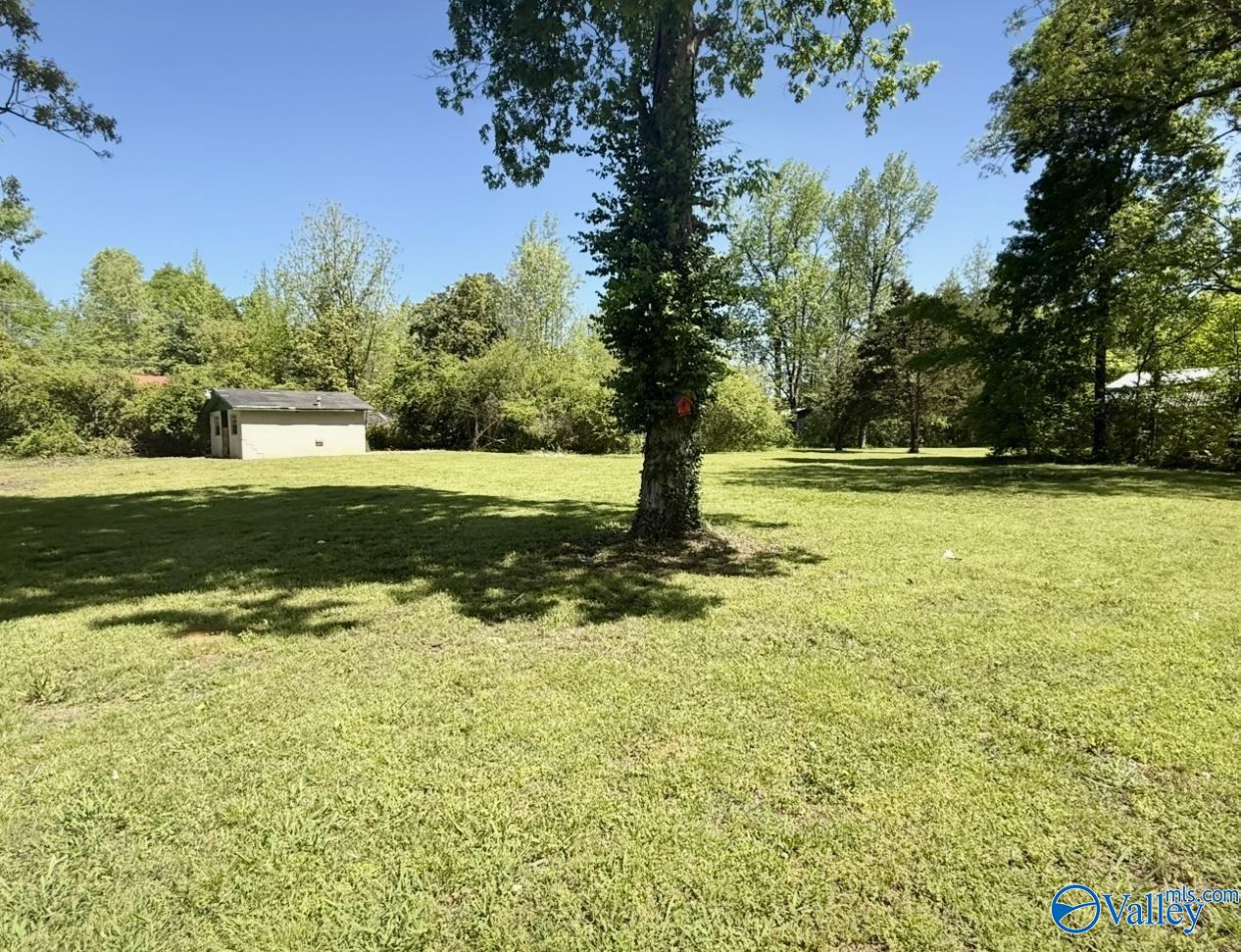 425 County Road 249, Leesburg, Alabama image 19