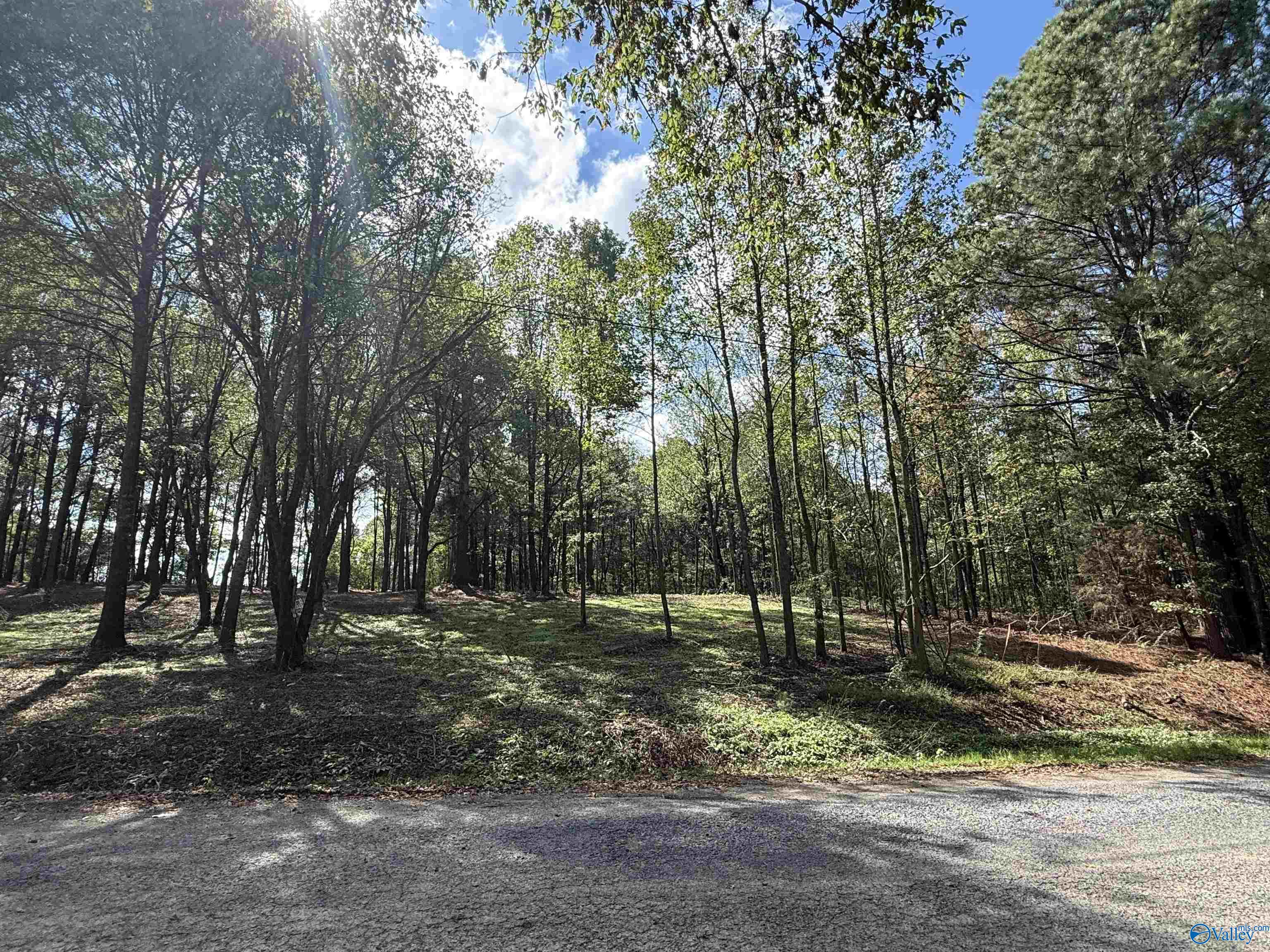 #1B County Road 1123