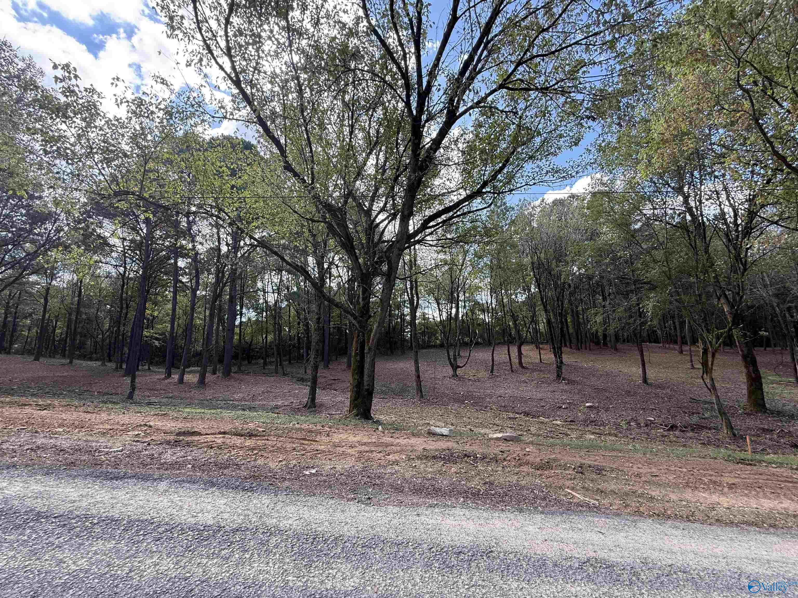 Photo 1 of 3 — #1B County Road 1123, Vinemont, AL 35179