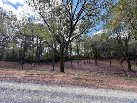 1 COUNTY RD 1123, VINEMONT, AL 35179 - Image 5dec39eba9044f50ce630308a53447c1/3857488331