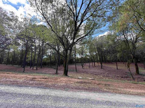 Homes For Sale - #1B County Road 1123<br/> Vinemont, AL 35179