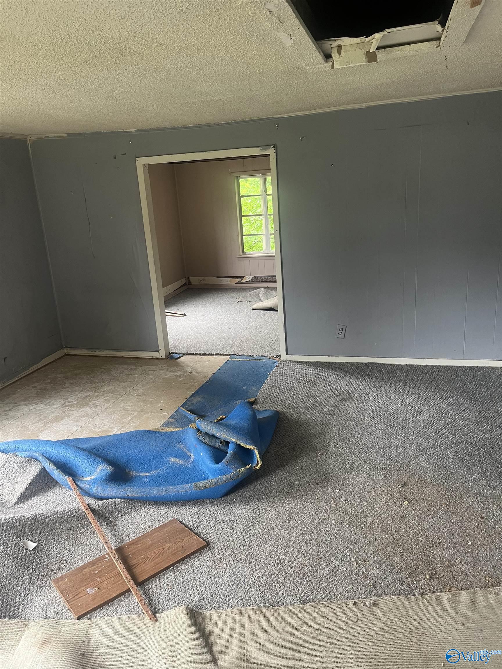 1530 County Road 437, Hillsboro, Alabama image 19