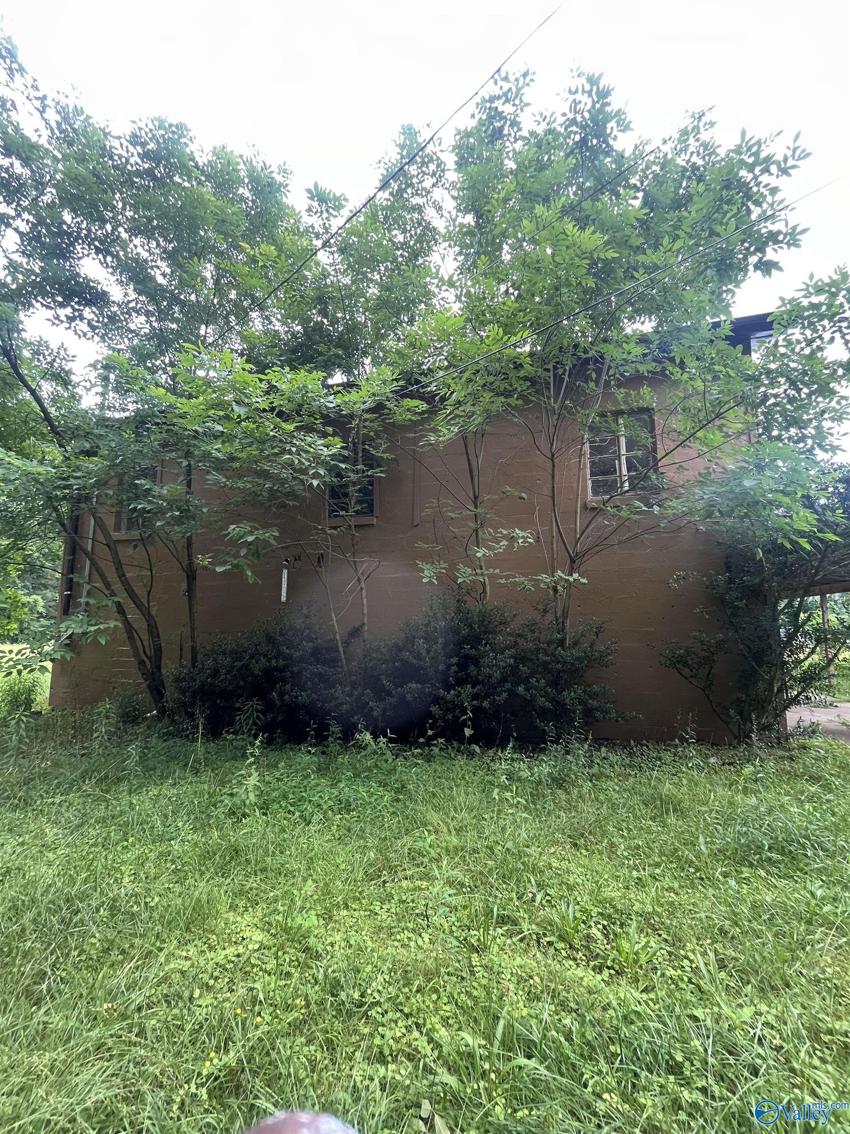1530 County Road 437, Hillsboro, Alabama image 7