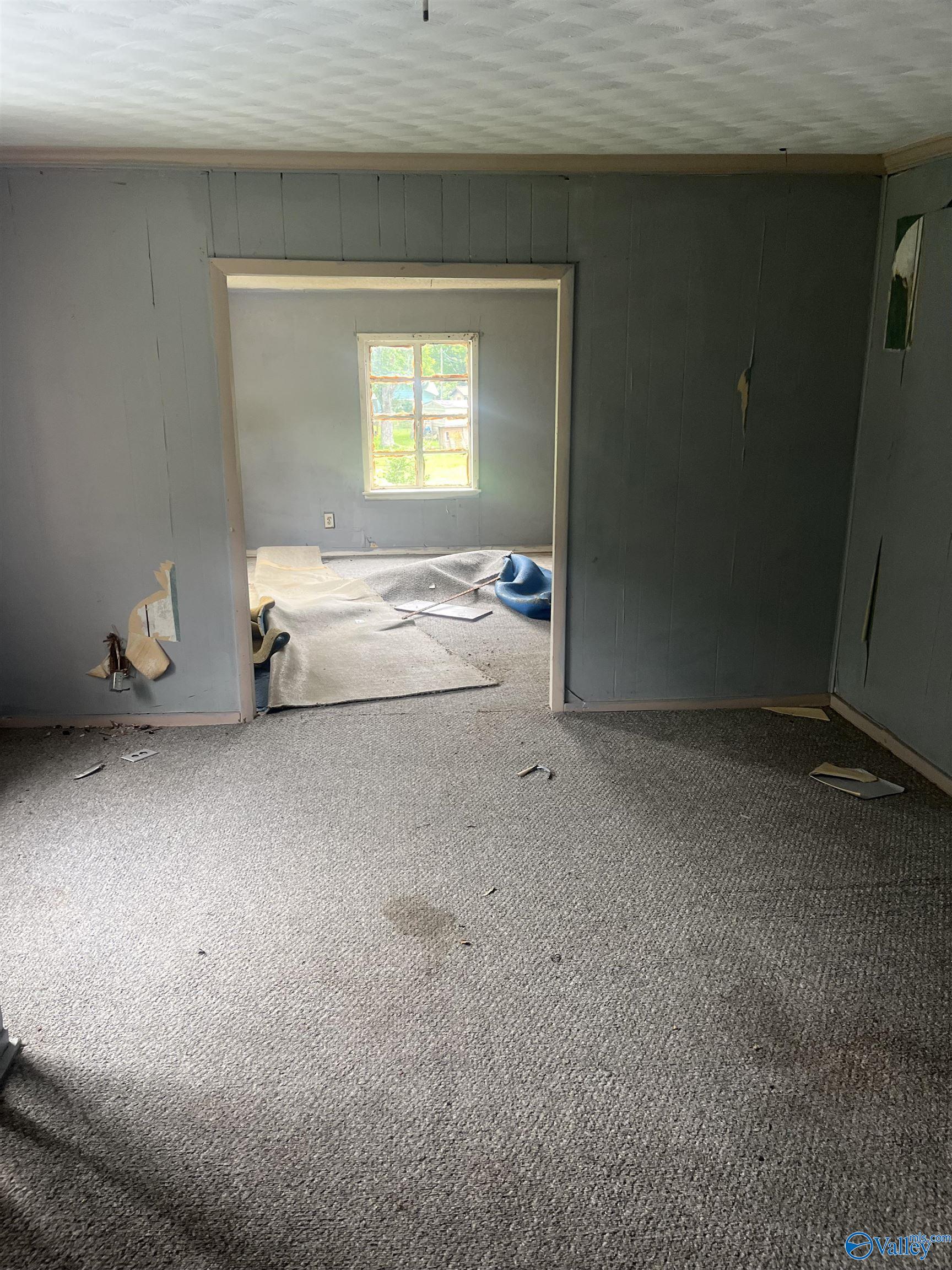 1530 County Road 437, Hillsboro, Alabama image 22