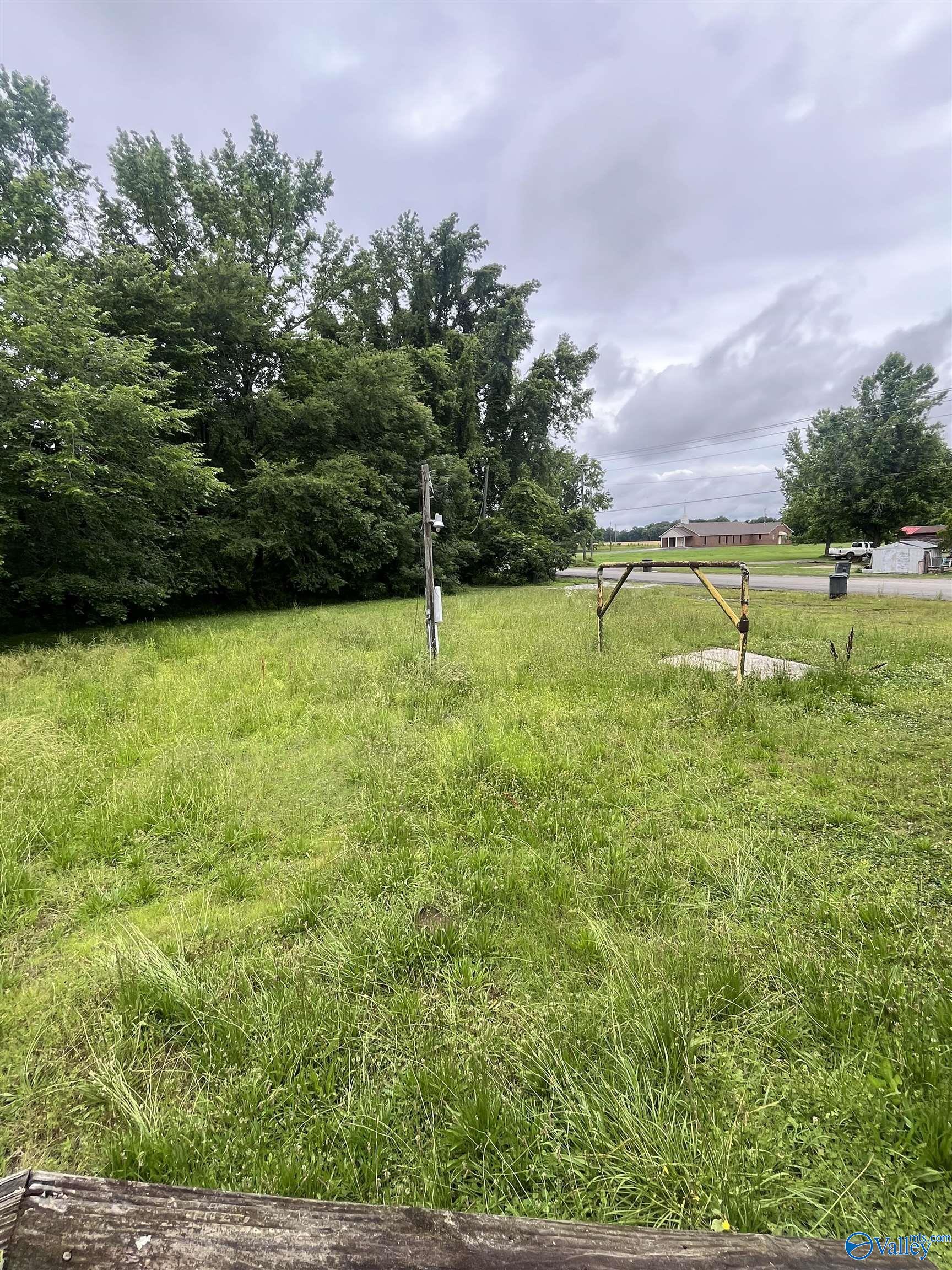 1530 County Road 437, Hillsboro, Alabama image 4