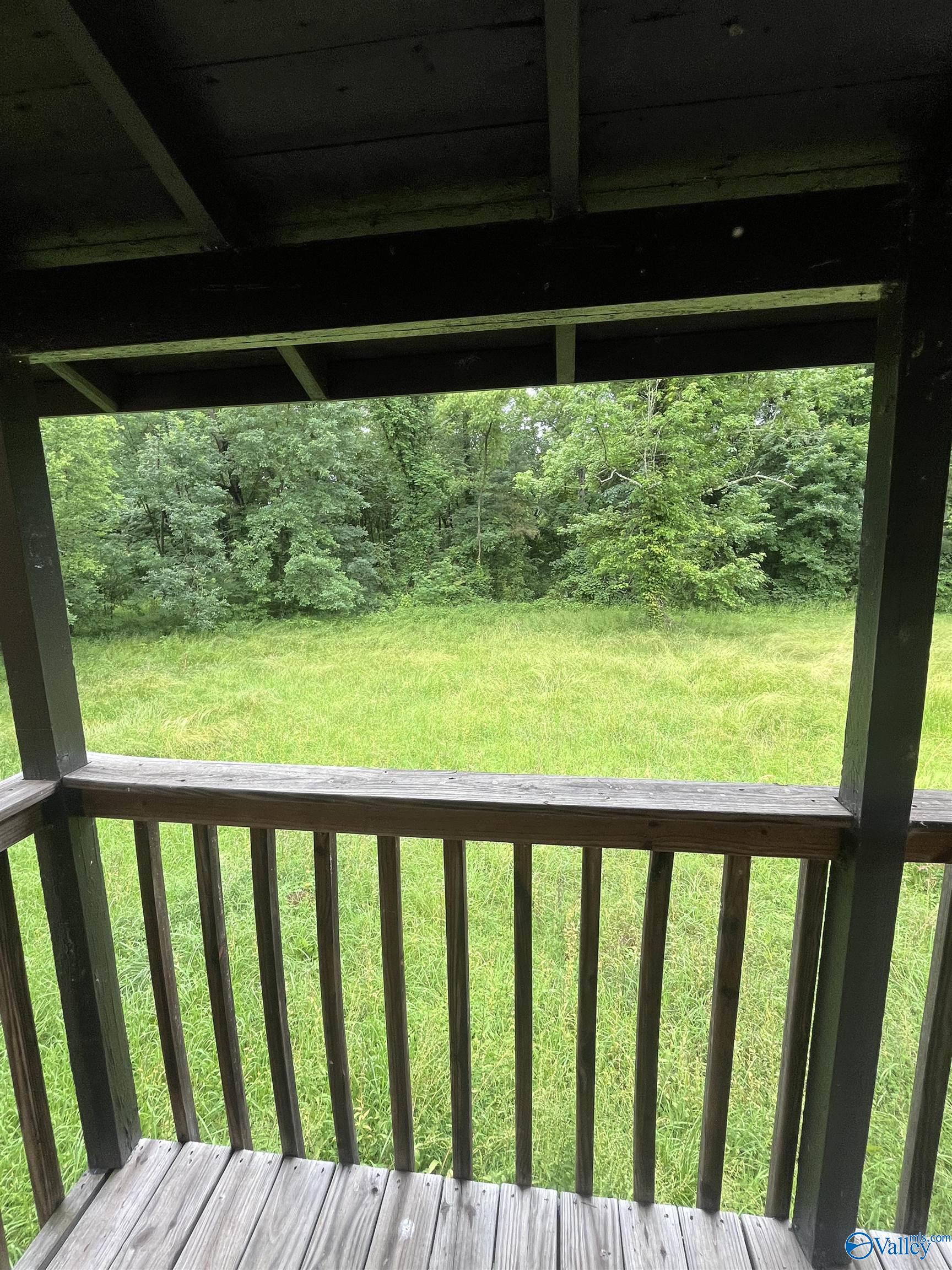 1530 County Road 437, Hillsboro, Alabama image 3