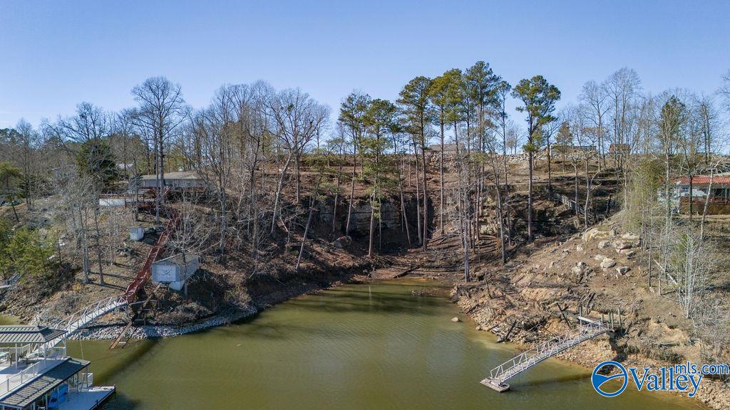 Parcel 02 County Road 206, Crane Hill, Alabama image 9