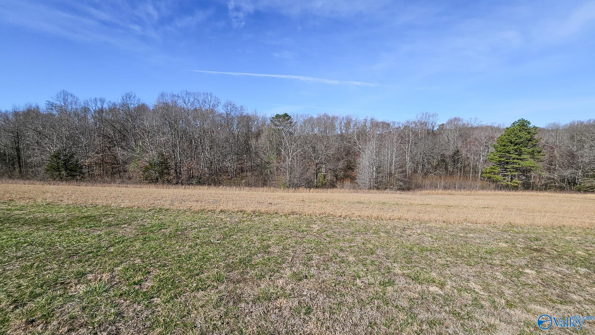 25840 Taylor Road, Elkmont, Alabama image 27