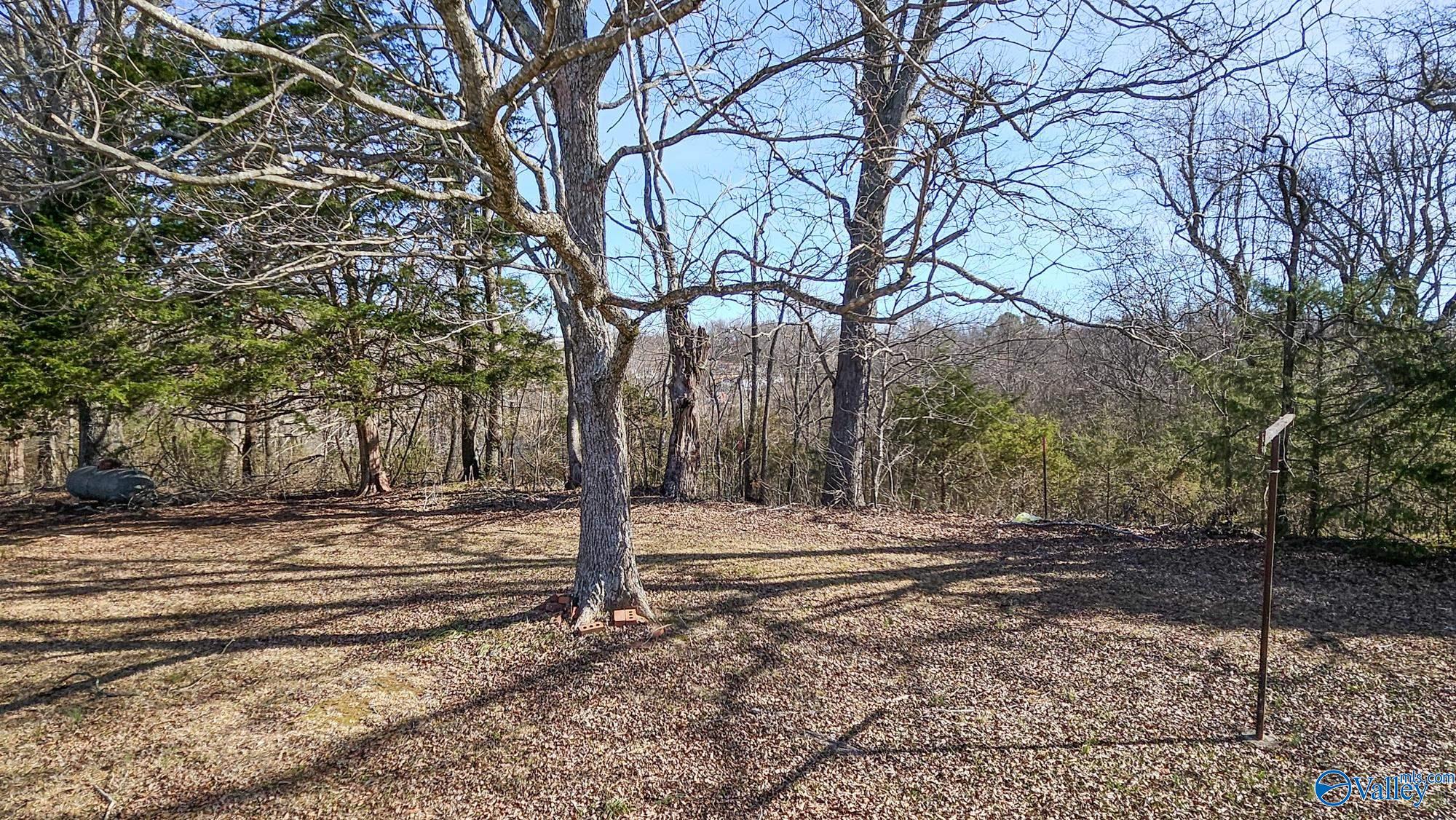 25840 Taylor Road, Elkmont, Alabama image 26