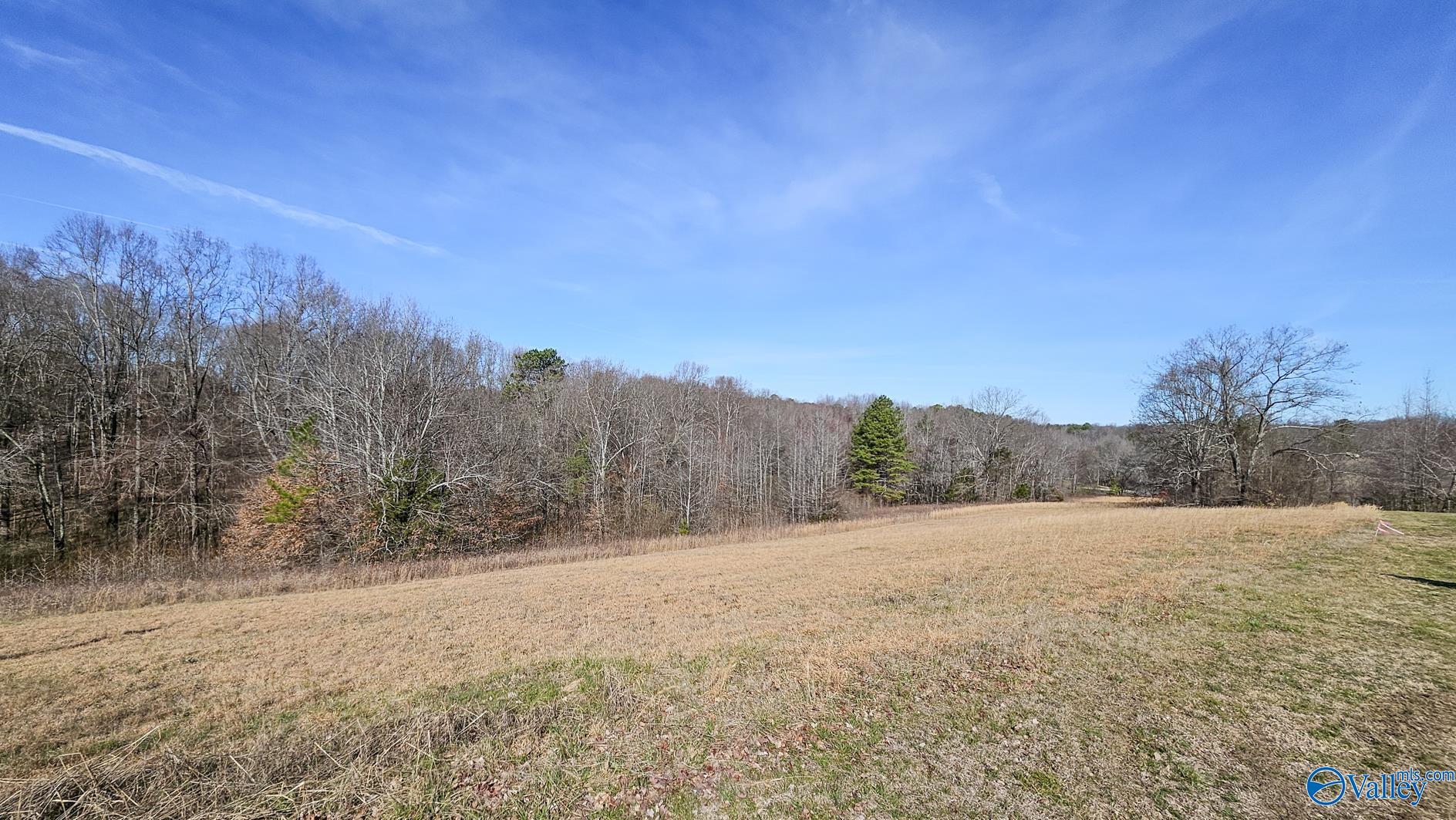 25840 Taylor Road, Elkmont, Alabama image 28