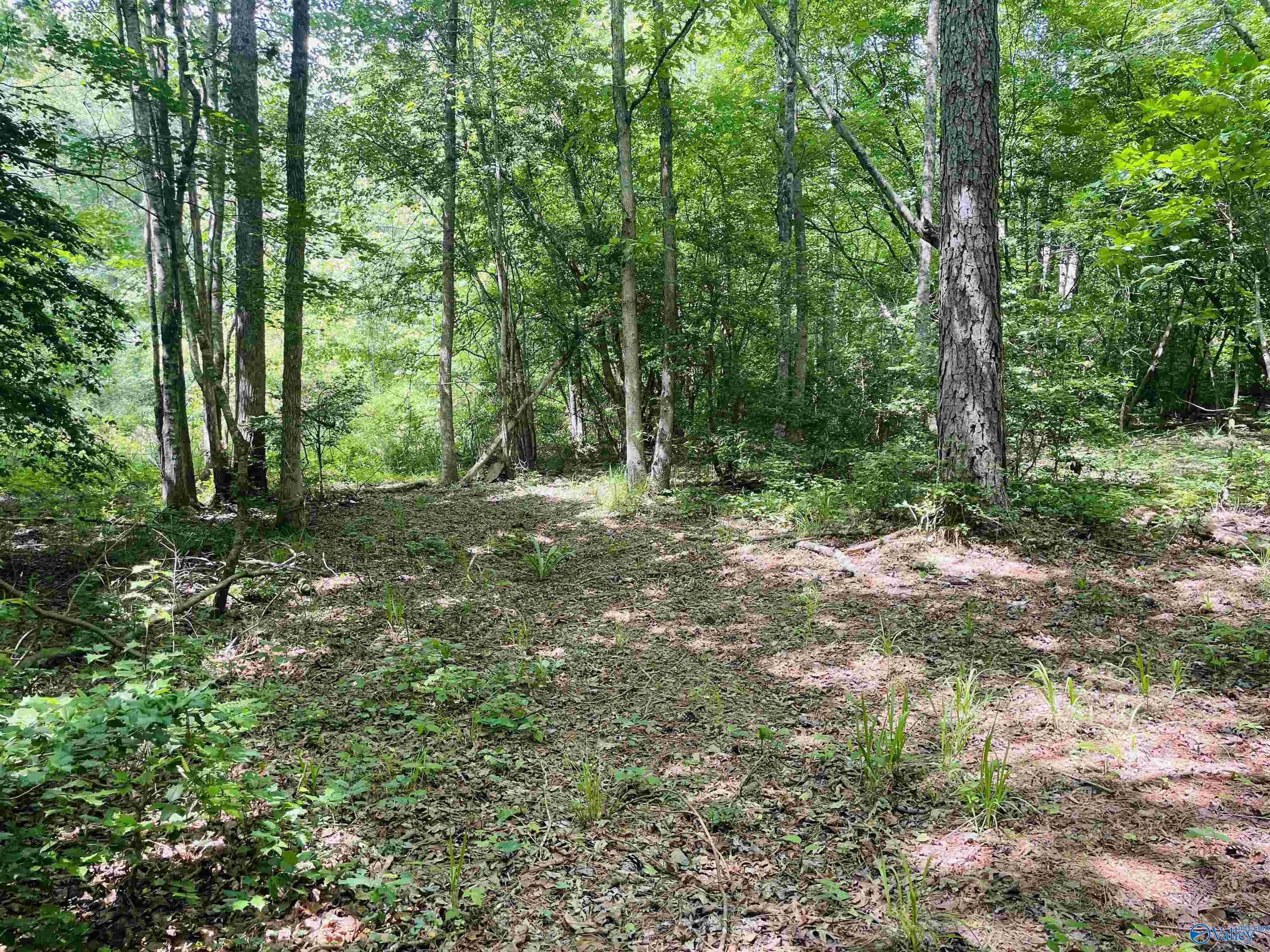 55ac County Road 270, Fort Payne, Alabama image 15