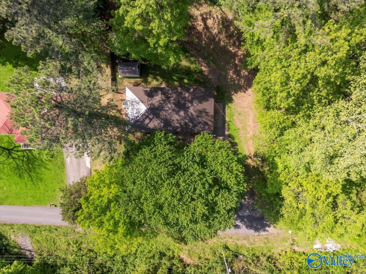 1417 Walls Street, Guntersville, Alabama image 9