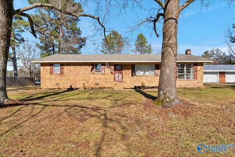 Photo of 1099 County Road 317, Trinity, AL 35673 (MLS # 21906186)