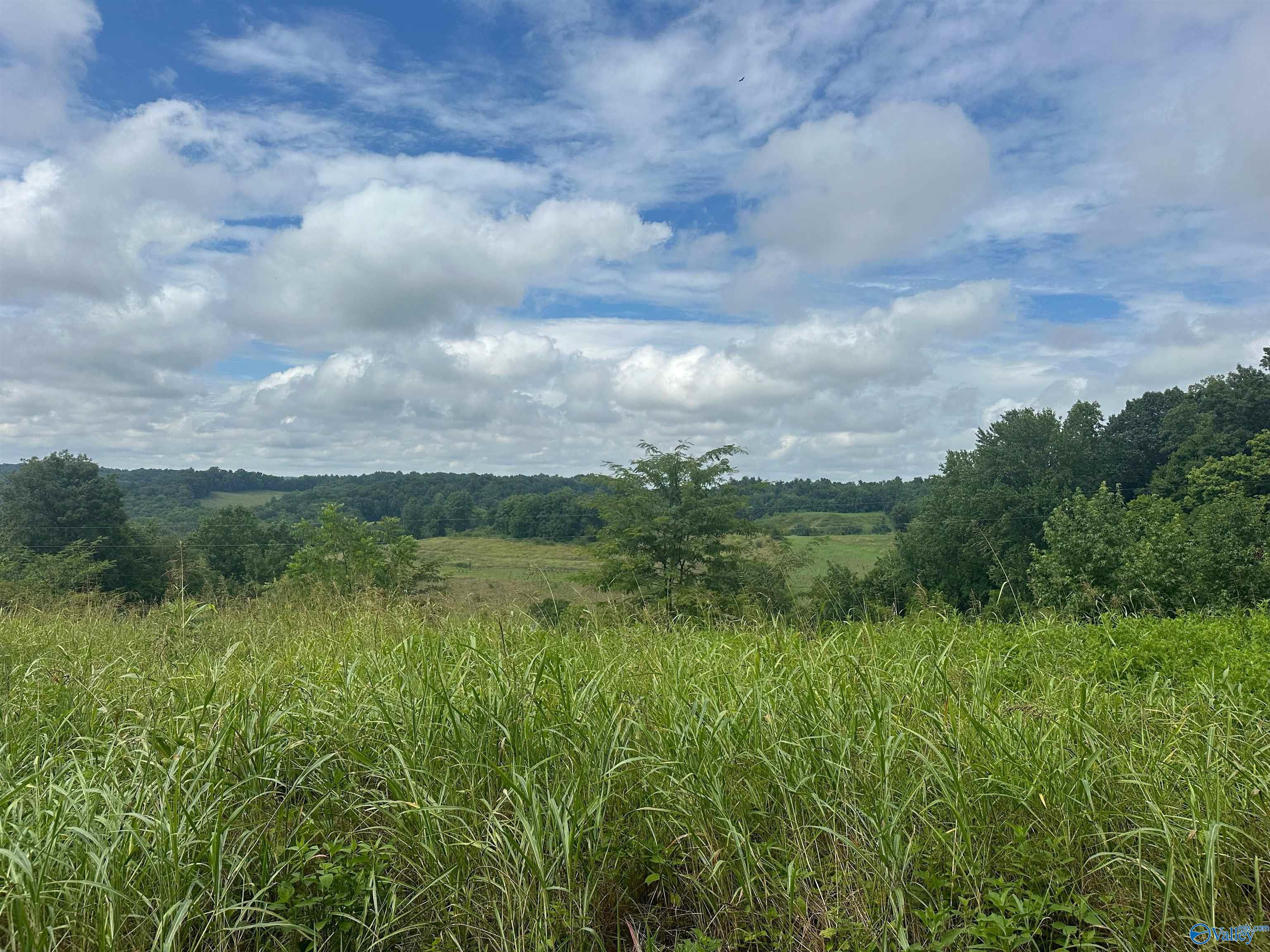 5A Young Hollow Road, Belvidere, Tennessee image 1