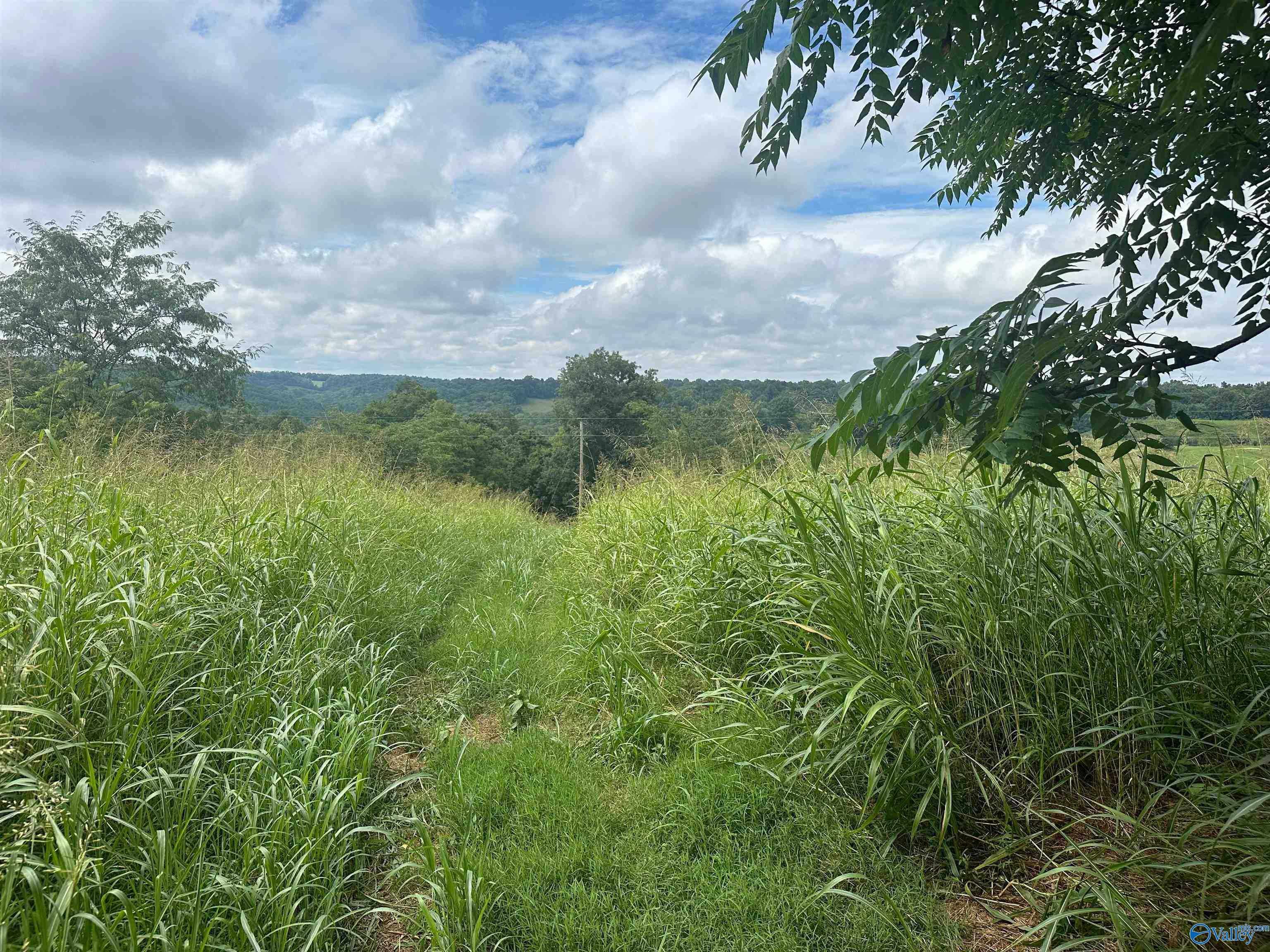 5A Young Hollow Road, Belvidere, Tennessee image 2