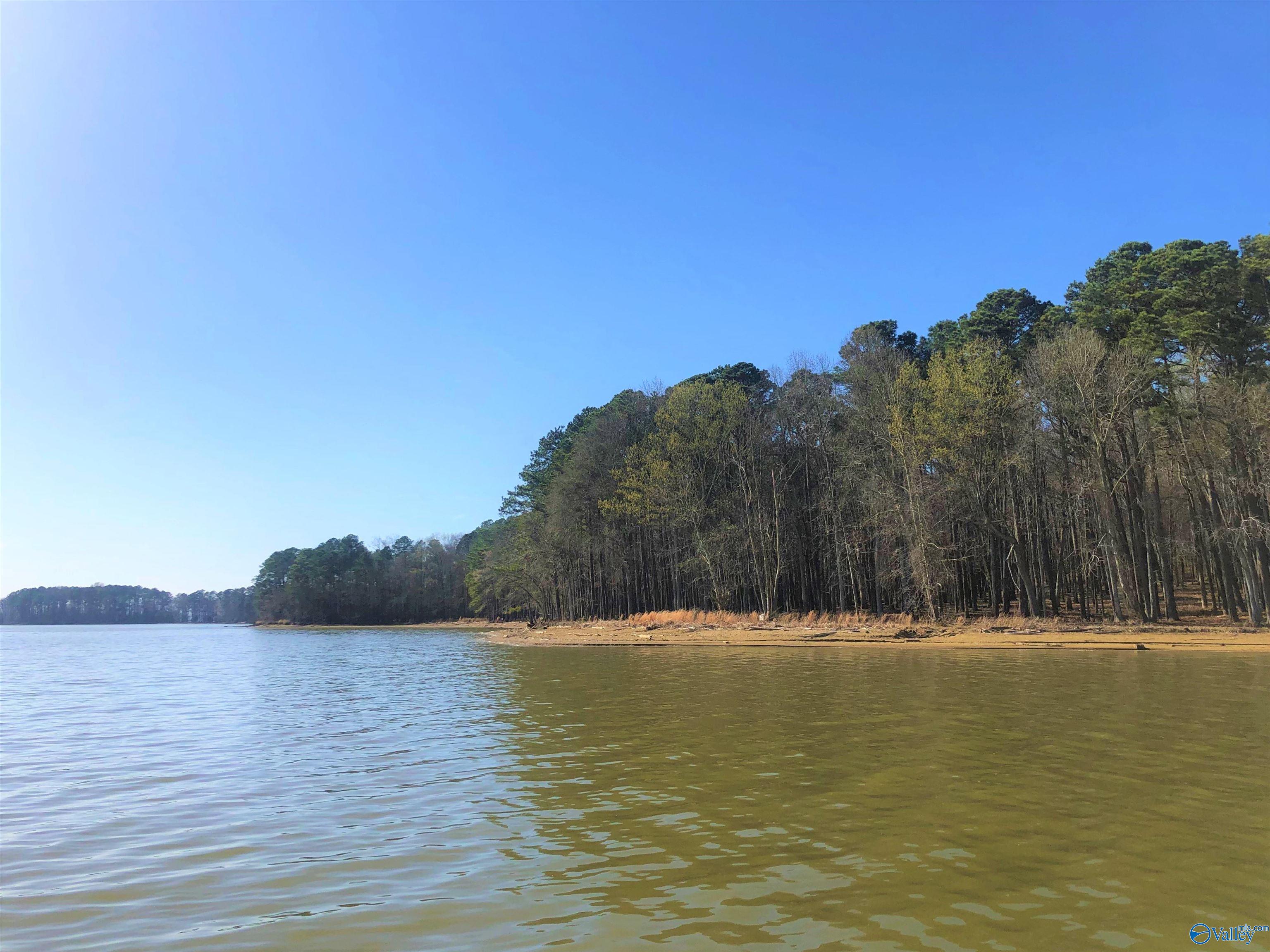 Lot 13 Little River Landing, Cedar Bluff, Alabama image 3