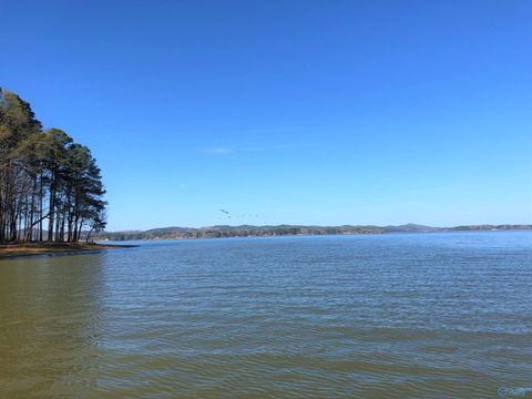 Vacant Land For Sale - LOT 13 Little River Landing<br/> Cherokee County, Cedar Bluff, AL 35959