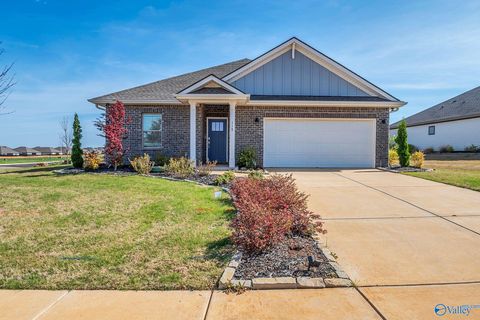 Photo of 118 Lillian Farms Boulevard, Huntsville, AL 35811 (MLS # 21914152)