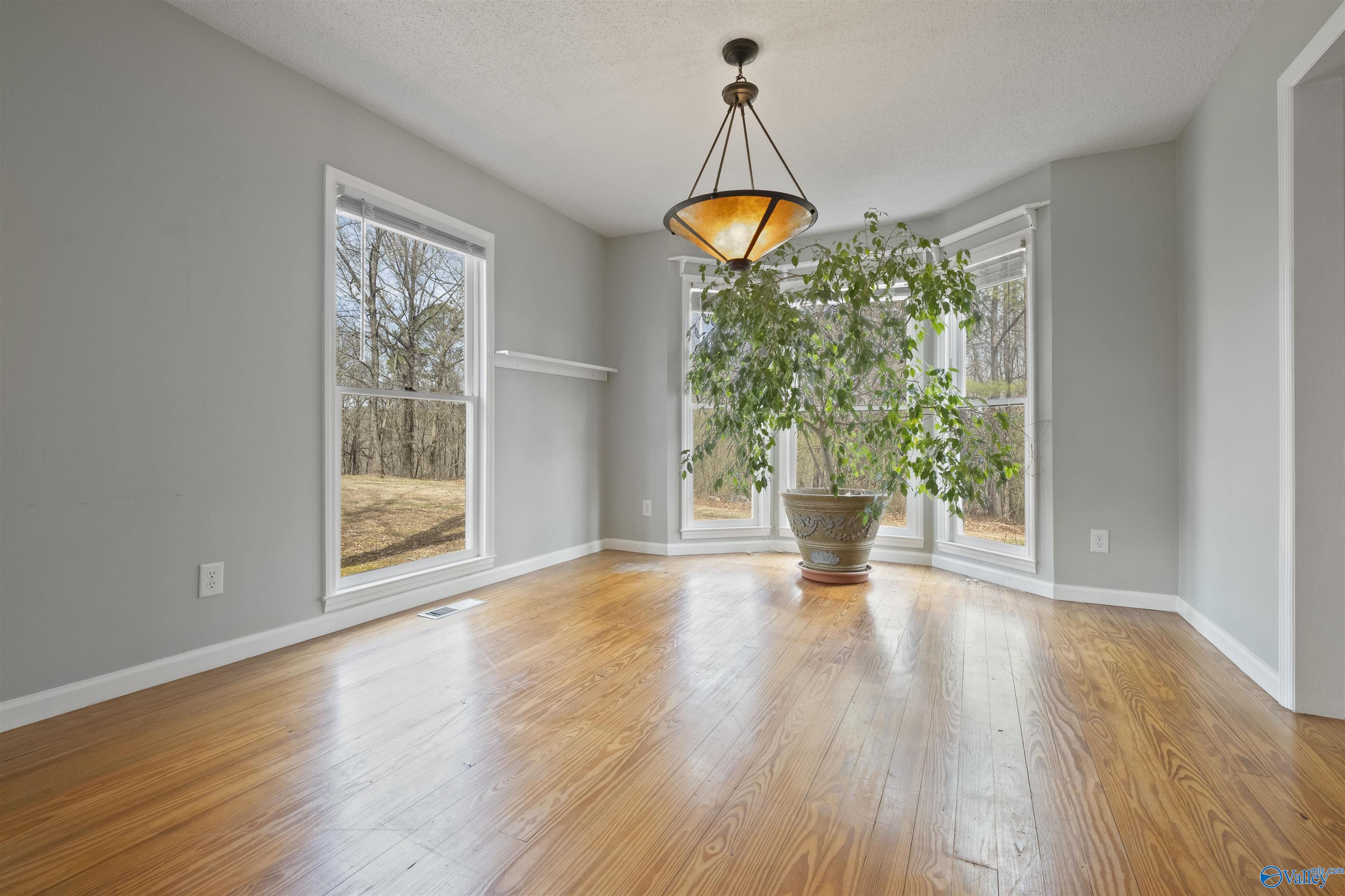 301 Stanford Road, Attalla, Alabama image 21