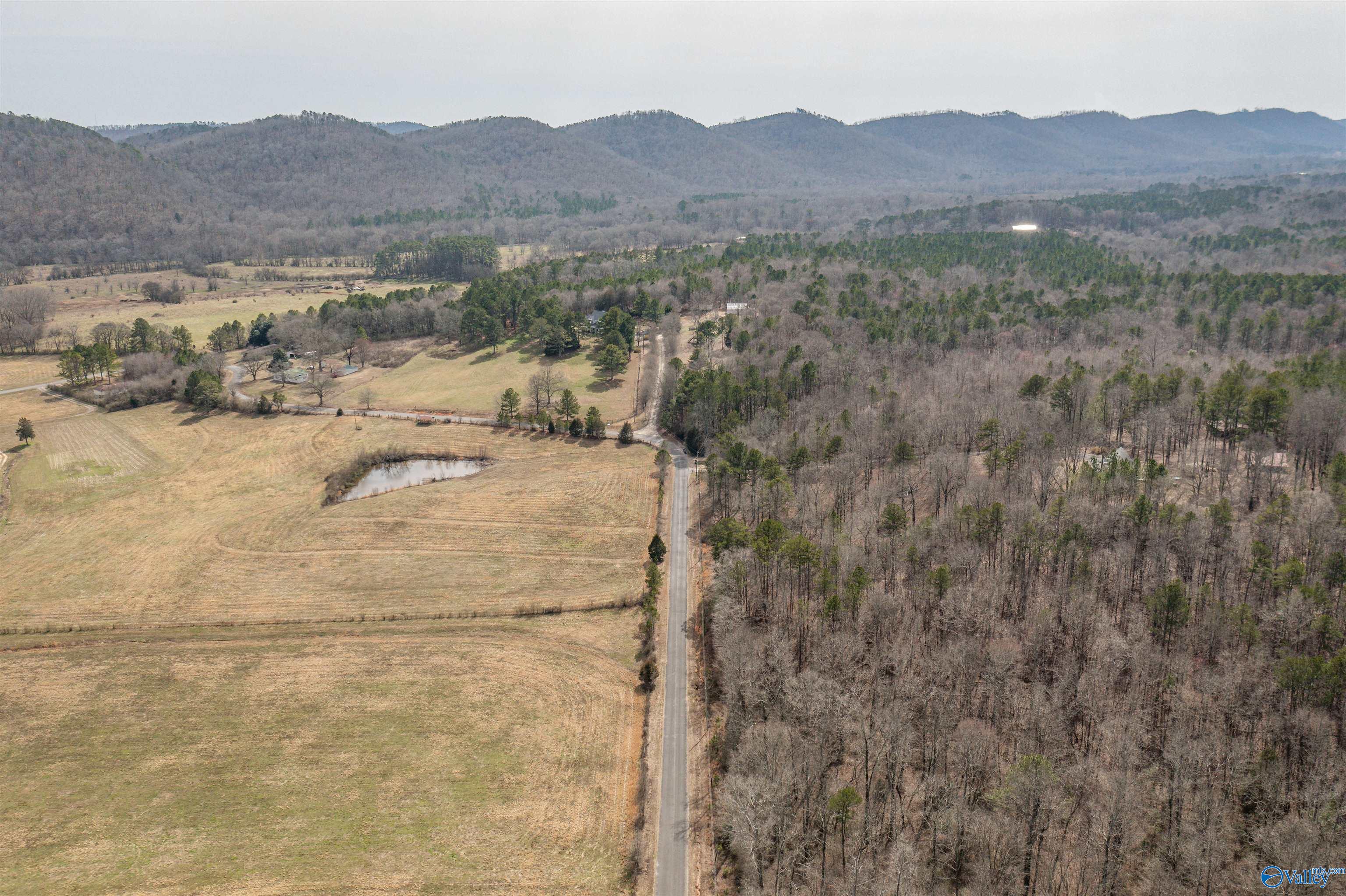 301 Stanford Road, Attalla, Alabama image 14