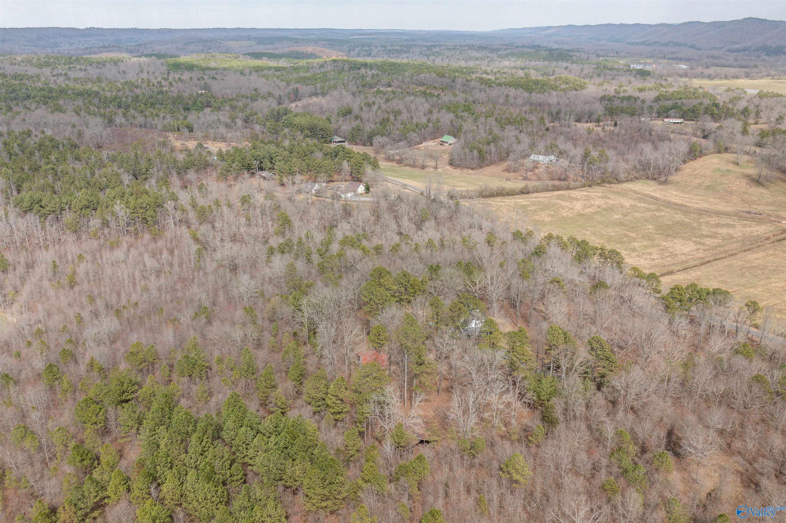301 Stanford Road, Attalla, Alabama image 8