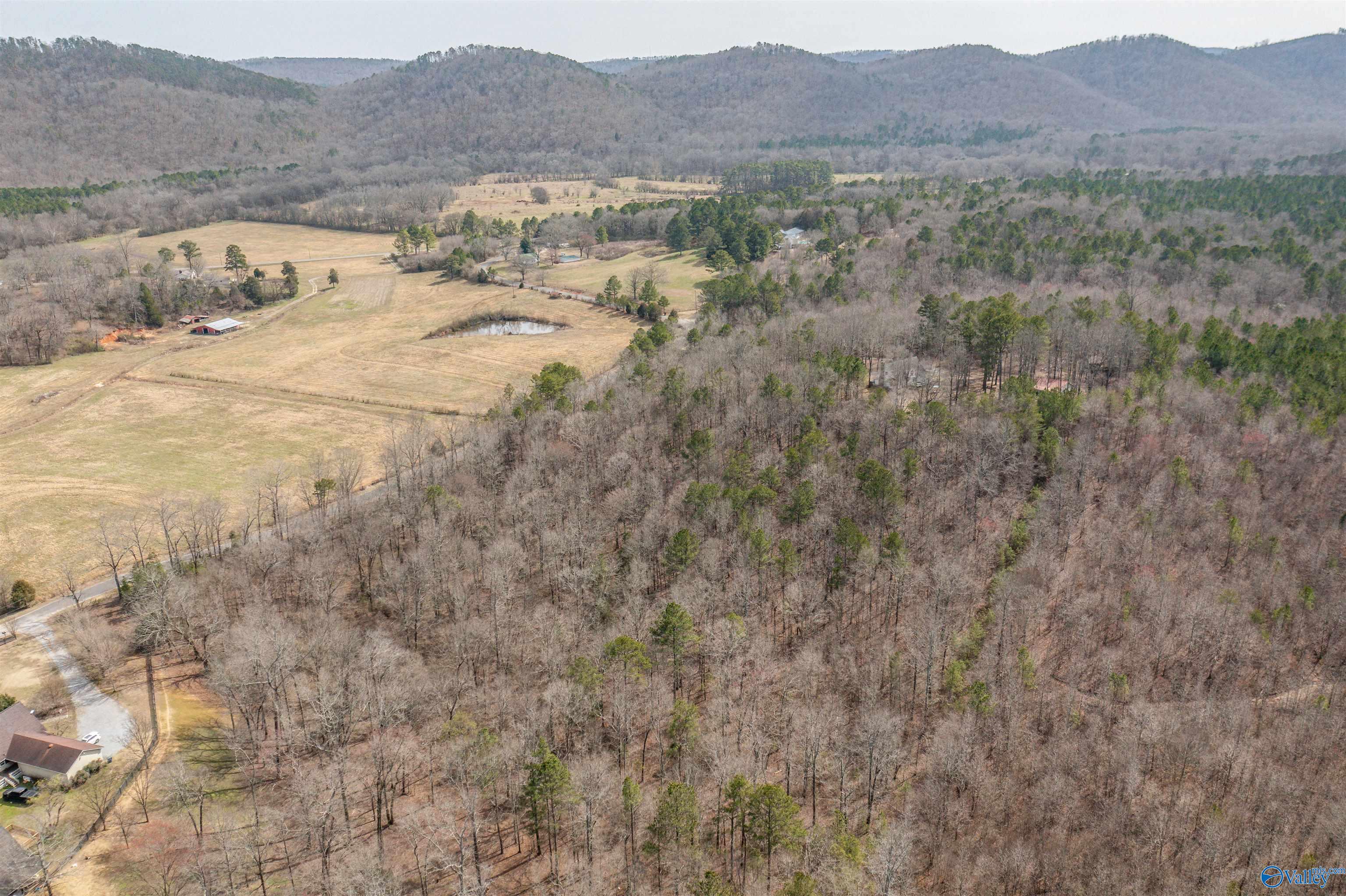 301 Stanford Road, Attalla, Alabama image 16